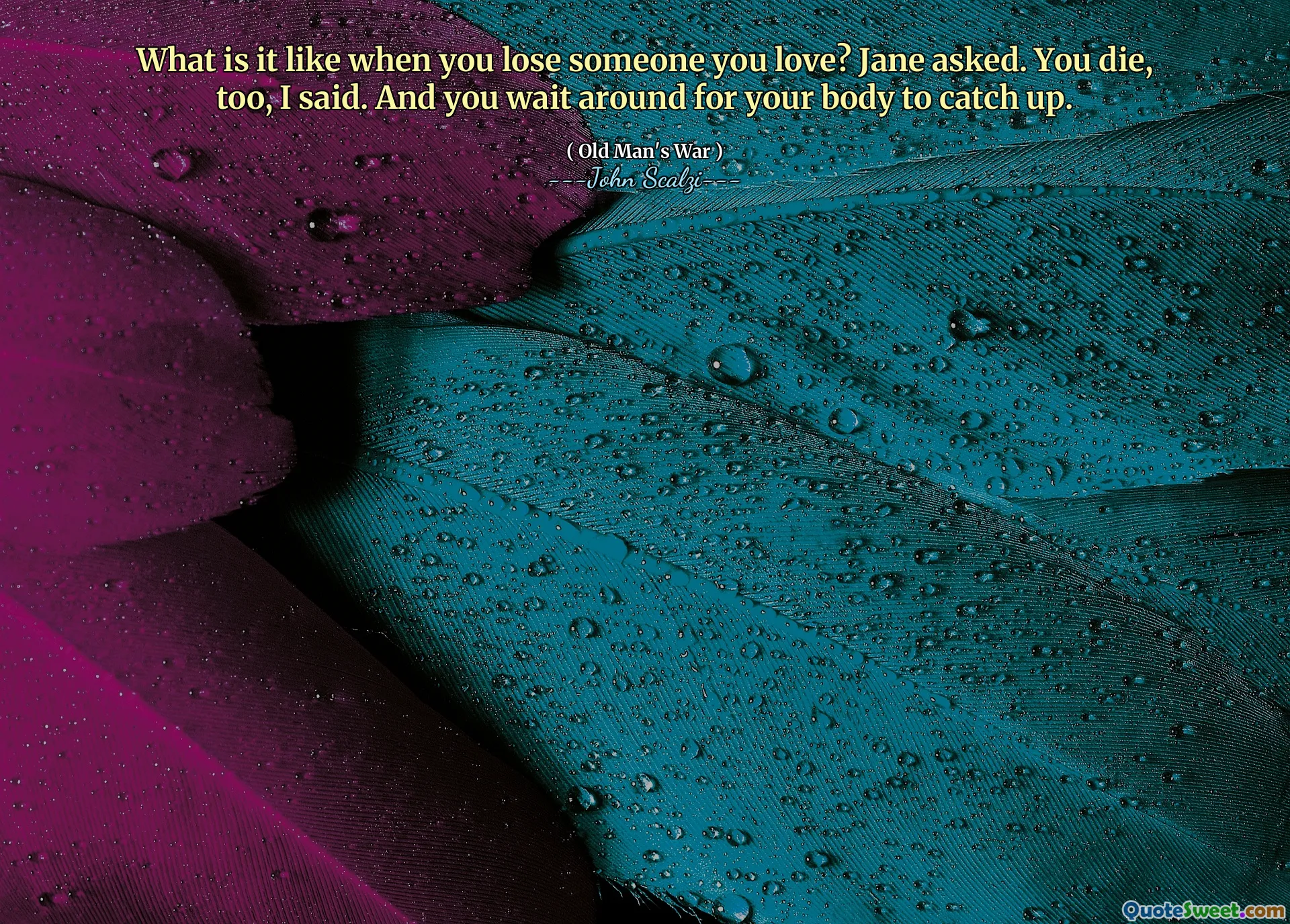 What is it like when you lose someone you love? Jane asked. You die, too, I said. And you wait around for your body to catch up.