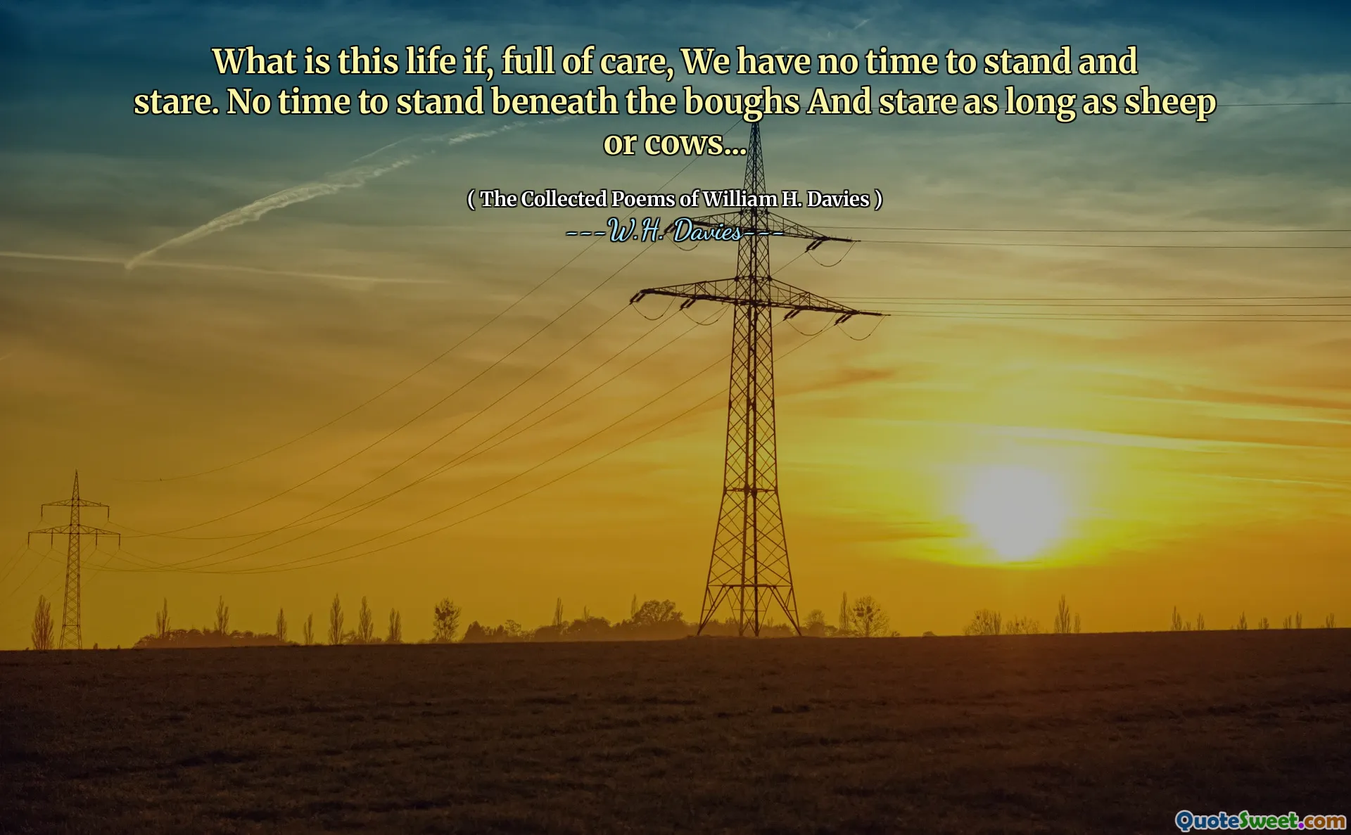 What is this life if, full of care, We have no time to stand and stare. No time to stand beneath the boughs And stare as long as sheep or cows...