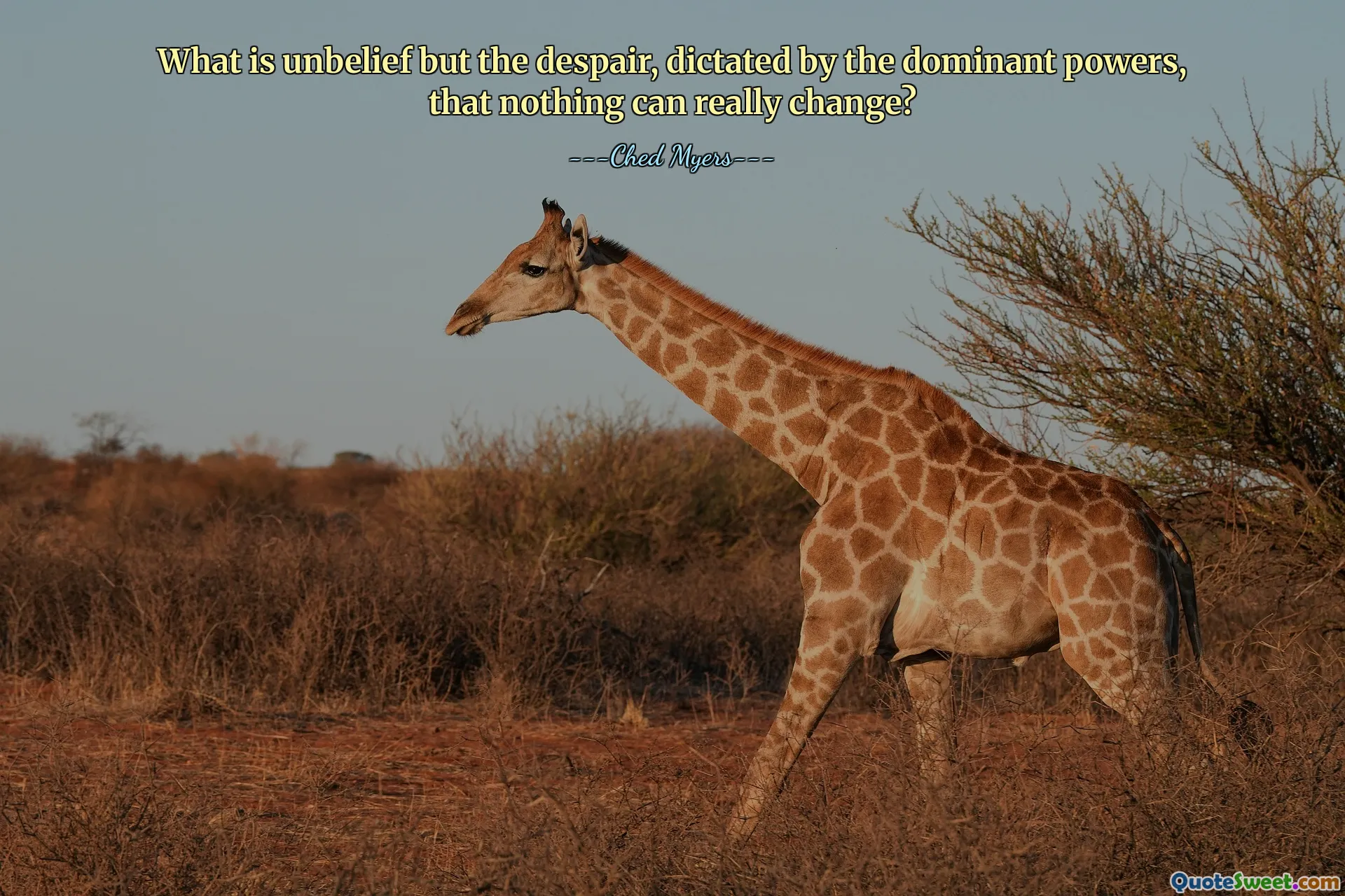 What is unbelief but the despair, dictated by the dominant powers, that nothing can really change?