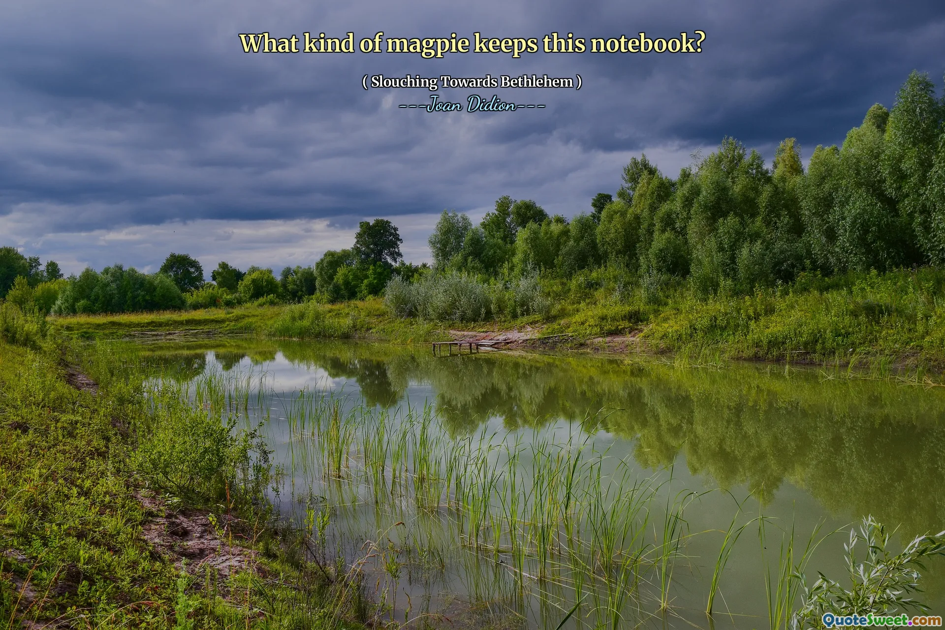 What kind of magpie keeps this notebook?