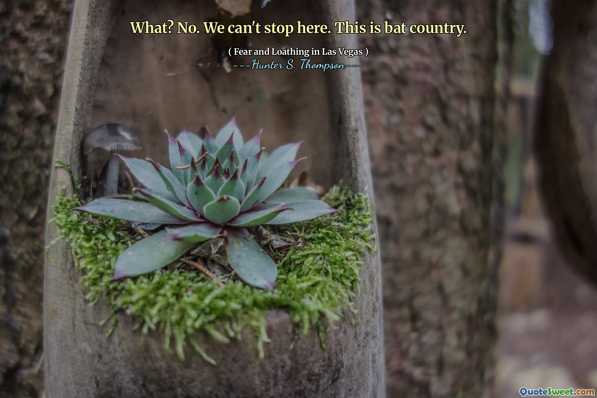 What? No. We can't stop here. This is bat country.