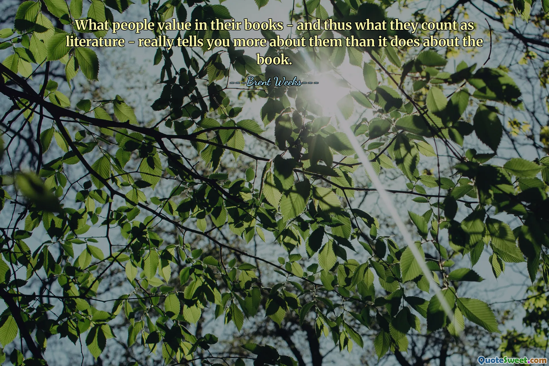 What people value in their books - and thus what they count as literature - really tells you more about them than it does about the book.