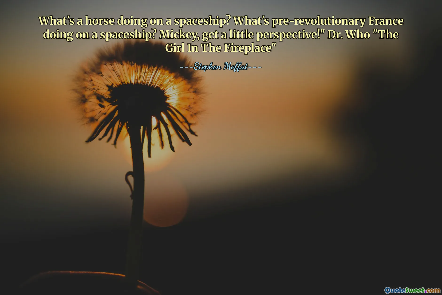 What's a horse doing on a spaceship? What's pre-revolutionary France doing on a spaceship? Mickey, get a little perspective!" Dr. Who "The Girl In The Fireplace"