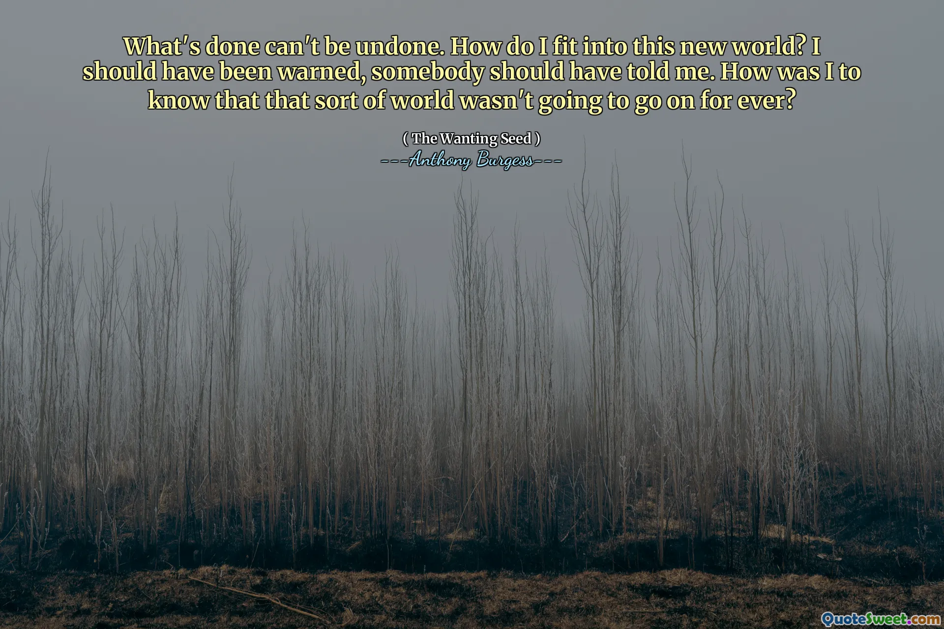 What's done can't be undone. How do I fit into this new world? I should have been warned, somebody should have told me. How was I to know that that sort of world wasn't going to go on for ever?