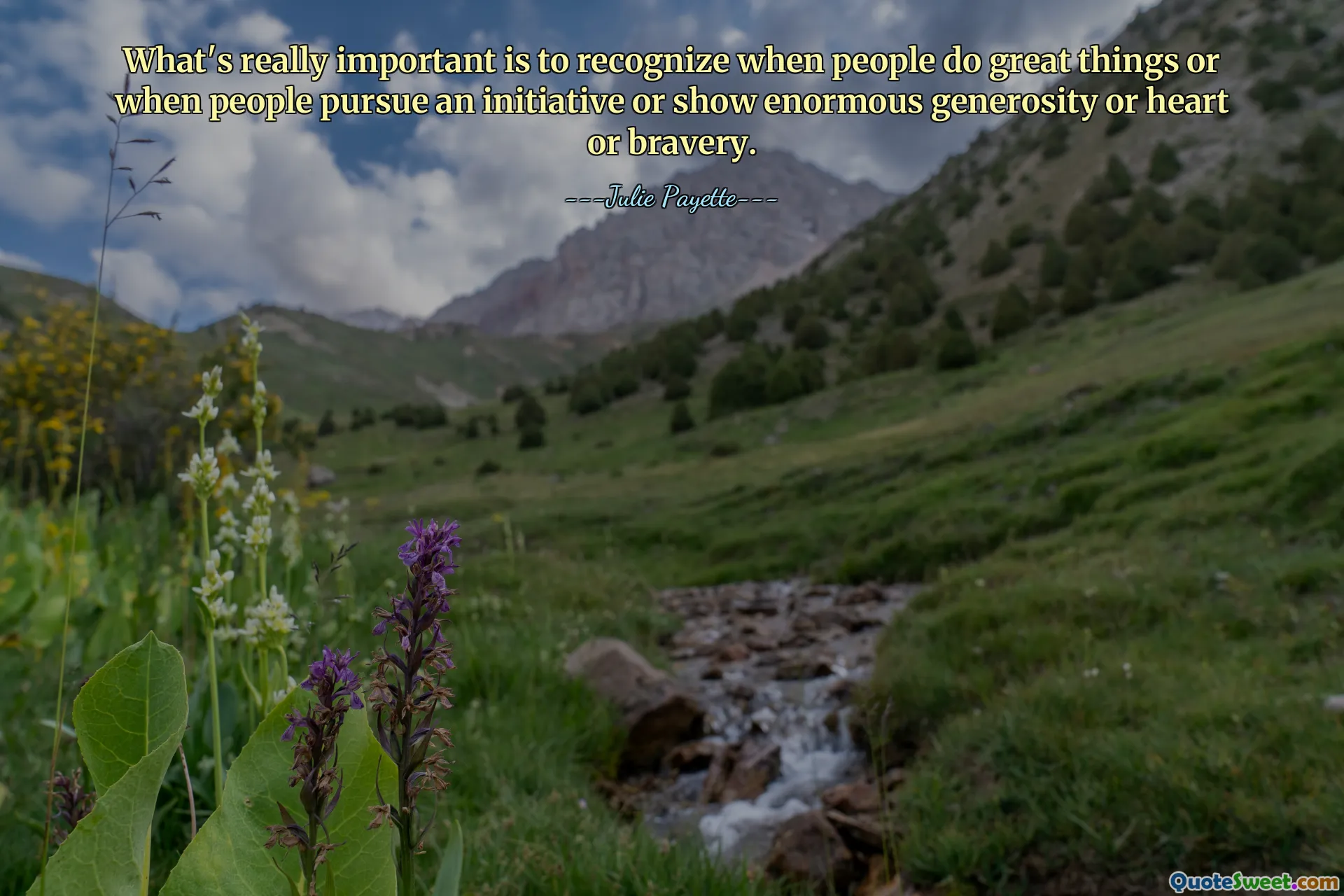 Co je opravdu důležité, je rozpoznat, kdy lidé dělají skvělé věci nebo kdy lidé usilují o iniciativu nebo projevují obrovskou velkorysost, srdce nebo statečnost.