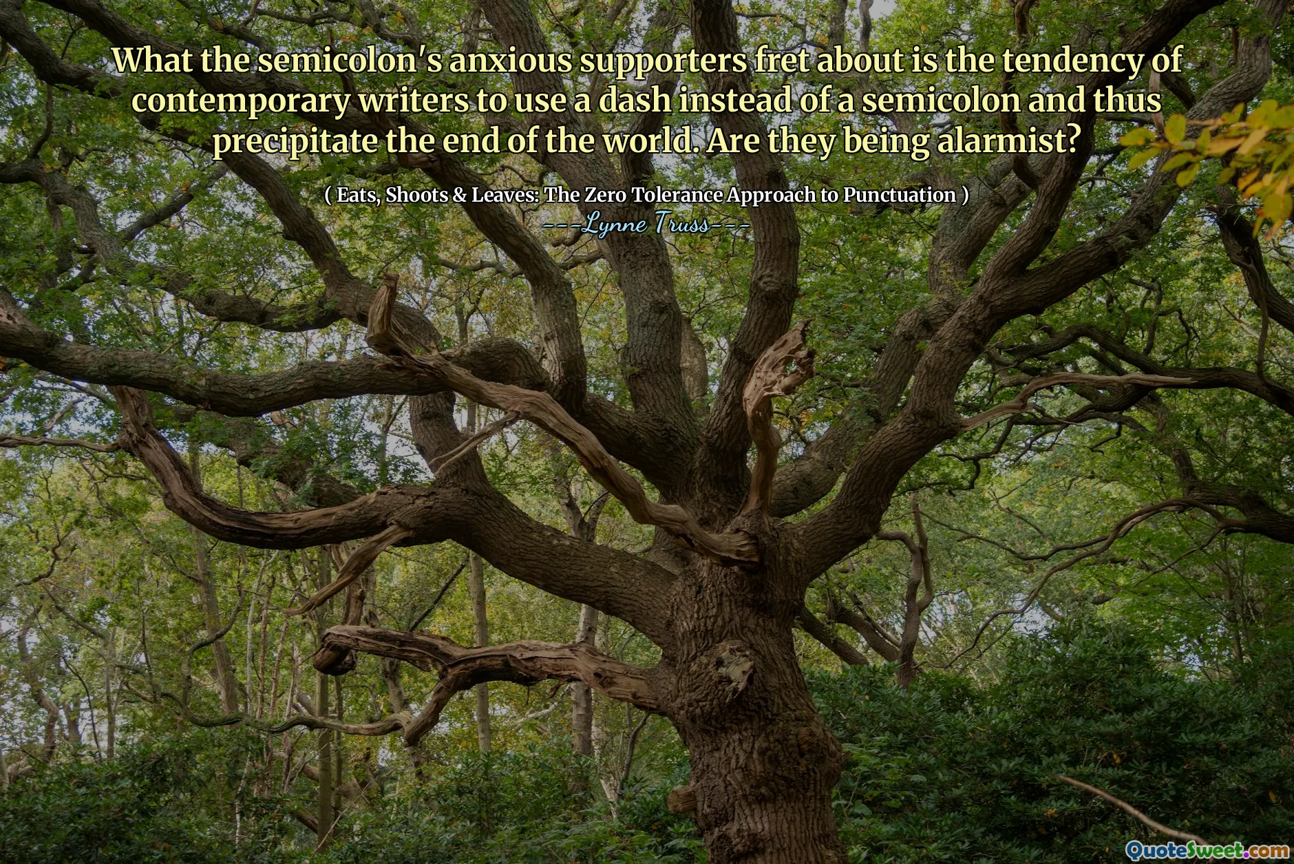 What the semicolon's anxious supporters fret about is the tendency of contemporary writers to use a dash instead of a semicolon and thus precipitate the end of the world. Are they being alarmist?