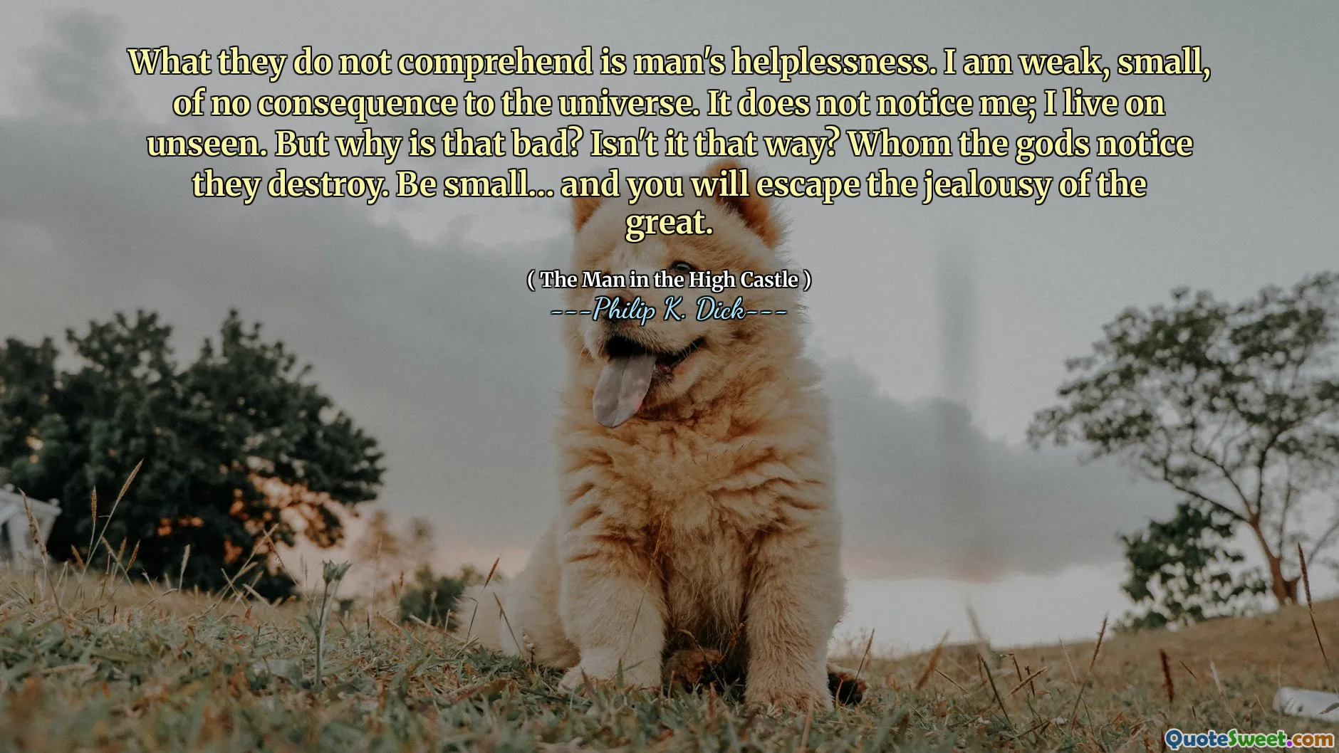 What they do not comprehend is man's helplessness. I am weak, small, of no consequence to the universe. It does not notice me; I live on unseen. But why is that bad? Isn't it that way? Whom the gods notice they destroy. Be small… and you will escape the jealousy of the great.