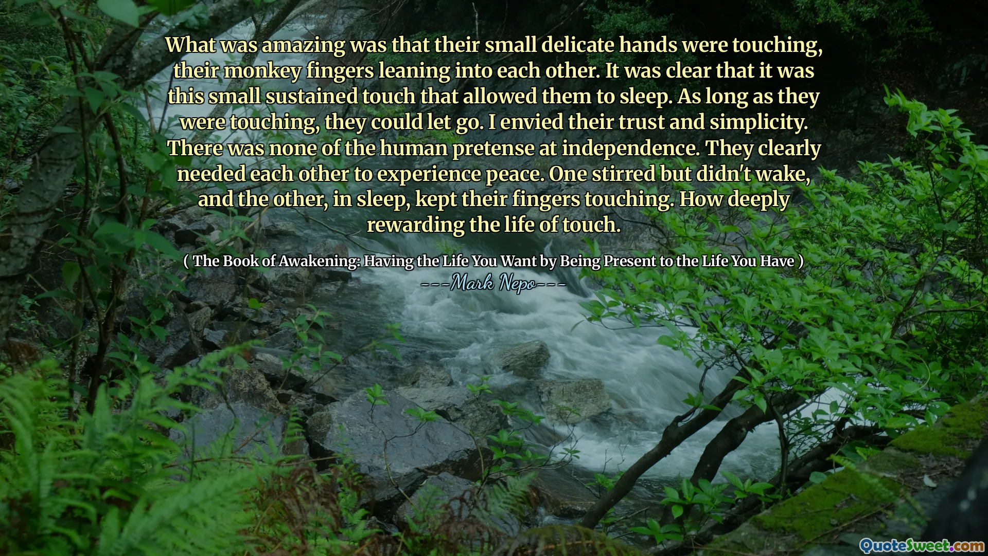 What was amazing was that their small delicate hands were touching, their monkey fingers leaning into each other. It was clear that it was this small sustained touch that allowed them to sleep. As long as they were touching, they could let go. I envied their trust and simplicity. There was none of the human pretense at independence. They clearly needed each other to experience peace. One stirred but didn't wake, and the other, in sleep, kept their fingers touching. How deeply rewarding the life of touch.