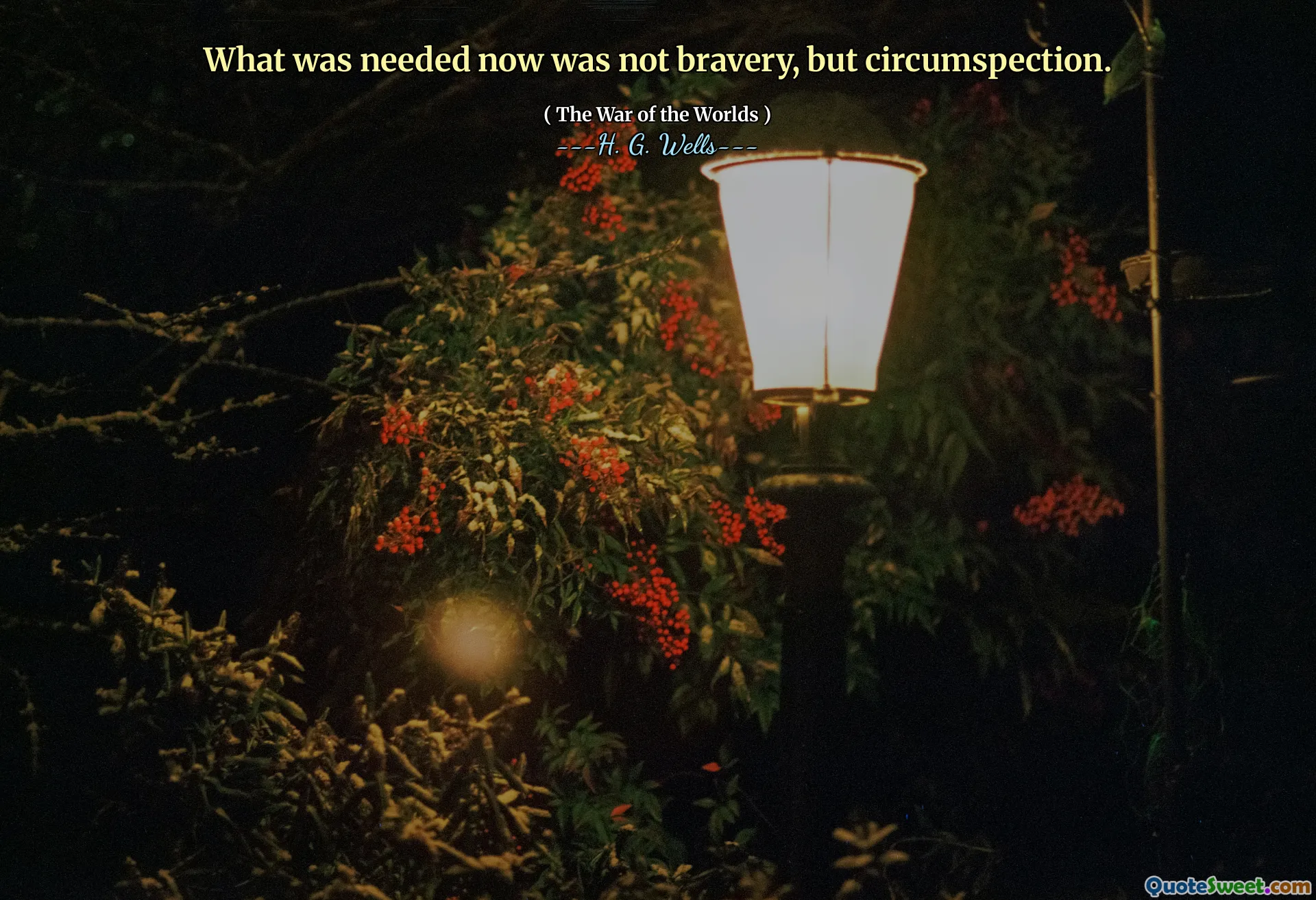 What was needed now was not bravery, but circumspection.