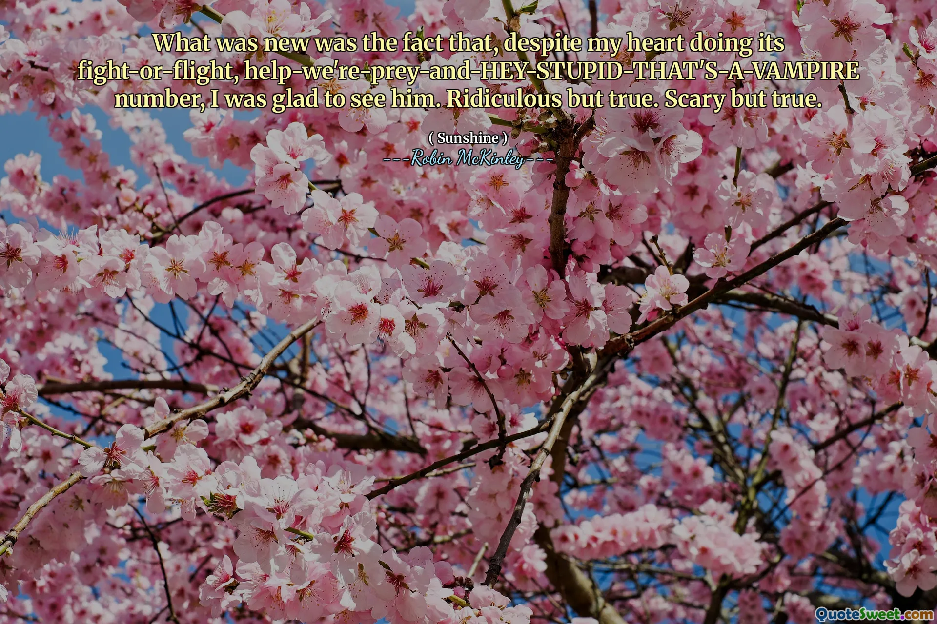 What was new was the fact that, despite my heart doing its fight-or-flight, help-we're-prey-and-HEY-STUPID-THAT'S-A-VAMPIRE number, I was glad to see him. Ridiculous but true. Scary but true.