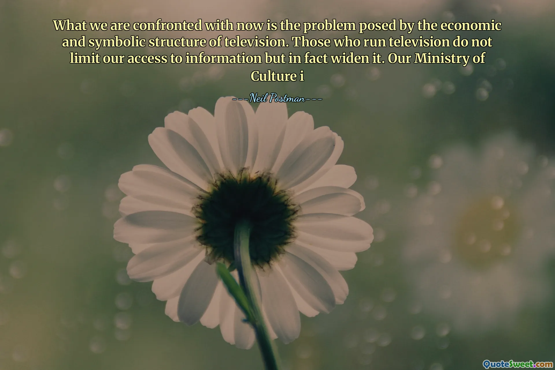 Det vi blir konfrontert med nå er problemet som den økonomiske og symbolske strukturen til TV. De som driver TV begrenser ikke vår tilgang til informasjon, men utvider den faktisk. Vårt kulturdepartement i