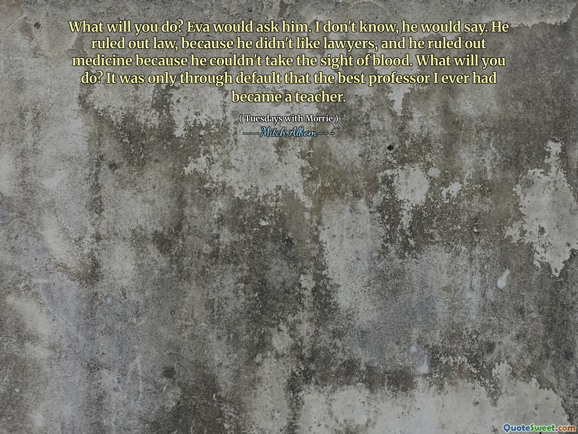 Hva vil du gjøre? Eva ville spørre ham. Jeg vet ikke, vil han si. Han utelukket lov, fordi han ikke likte advokater, og han utelukket medisin fordi han ikke kunne se blodet. Hva vil du gjøre? Det var bare gjennom standard at den beste professoren jeg noensinne hadde blitt lærer.