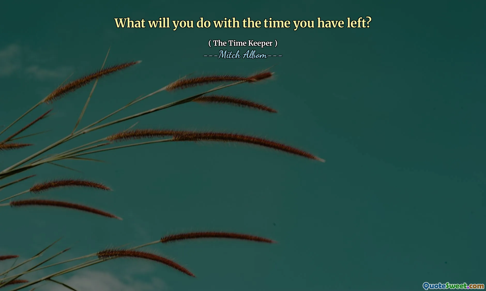 Apa yang akan kamu lakukan dengan waktu yang tersisa?