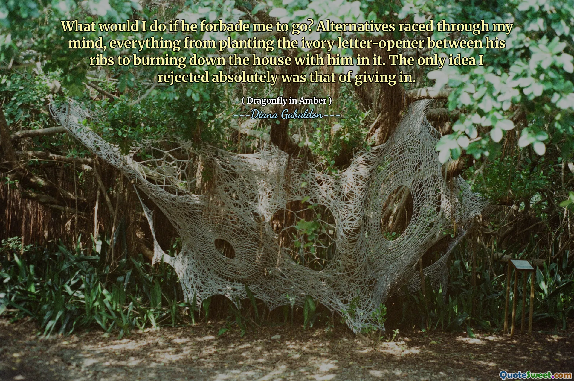 What would I do if he forbade me to go? Alternatives raced through my mind, everything from planting the ivory letter-opener between his ribs to burning down the house with him in it. The only idea I rejected absolutely was that of giving in.