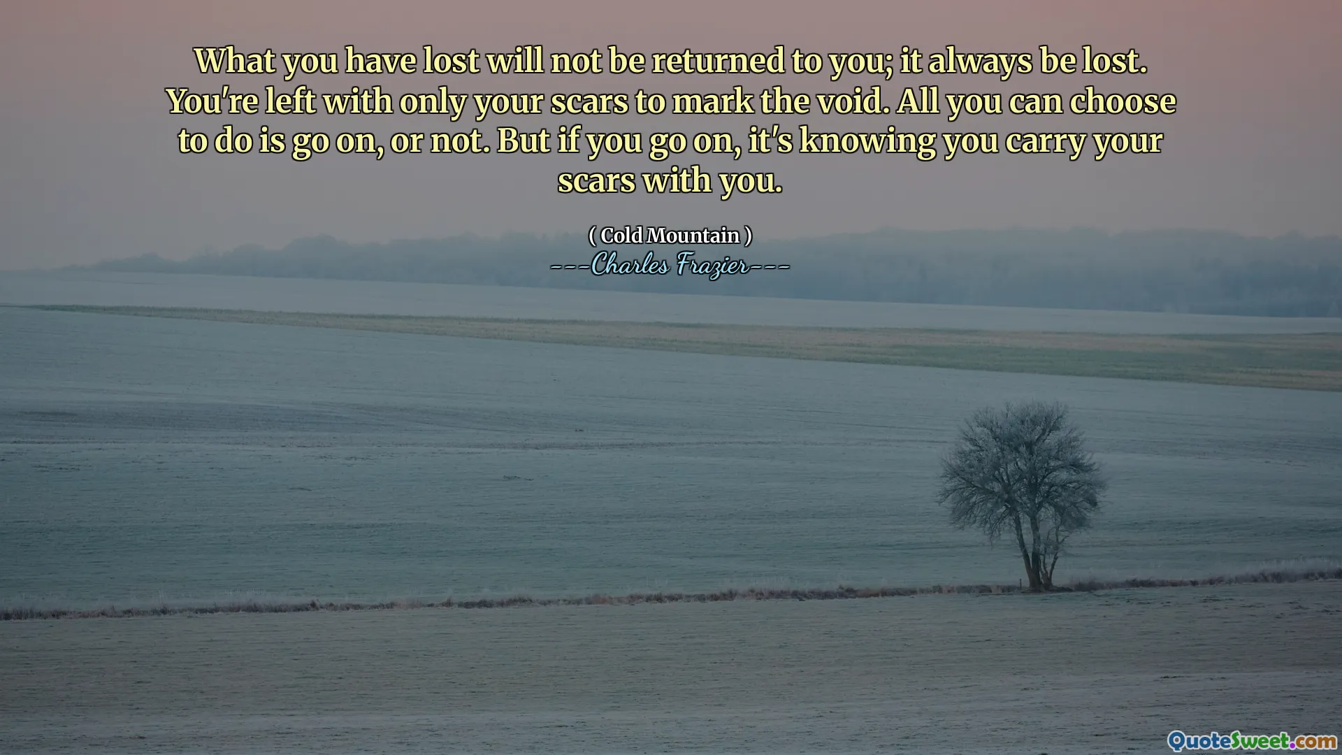 What you have lost will not be returned to you; it always be lost. You're left with only your scars to mark the void. All you can choose to do is go on, or not. But if you go on, it's knowing you carry your scars with you.