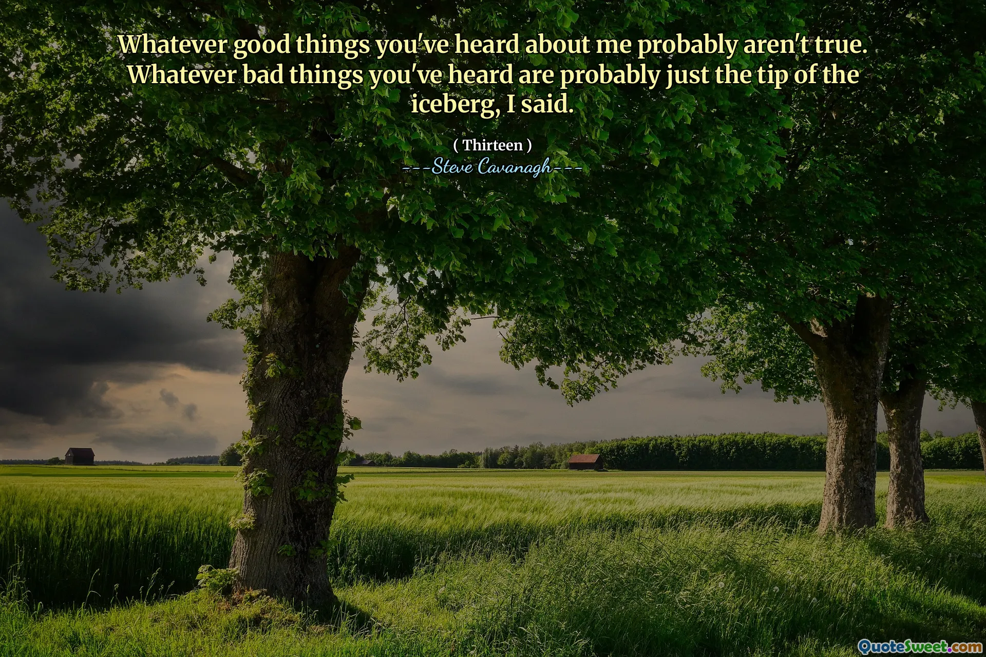 Whatever good things you've heard about me probably aren't true. Whatever bad things you've heard are probably just the tip of the iceberg, I said.