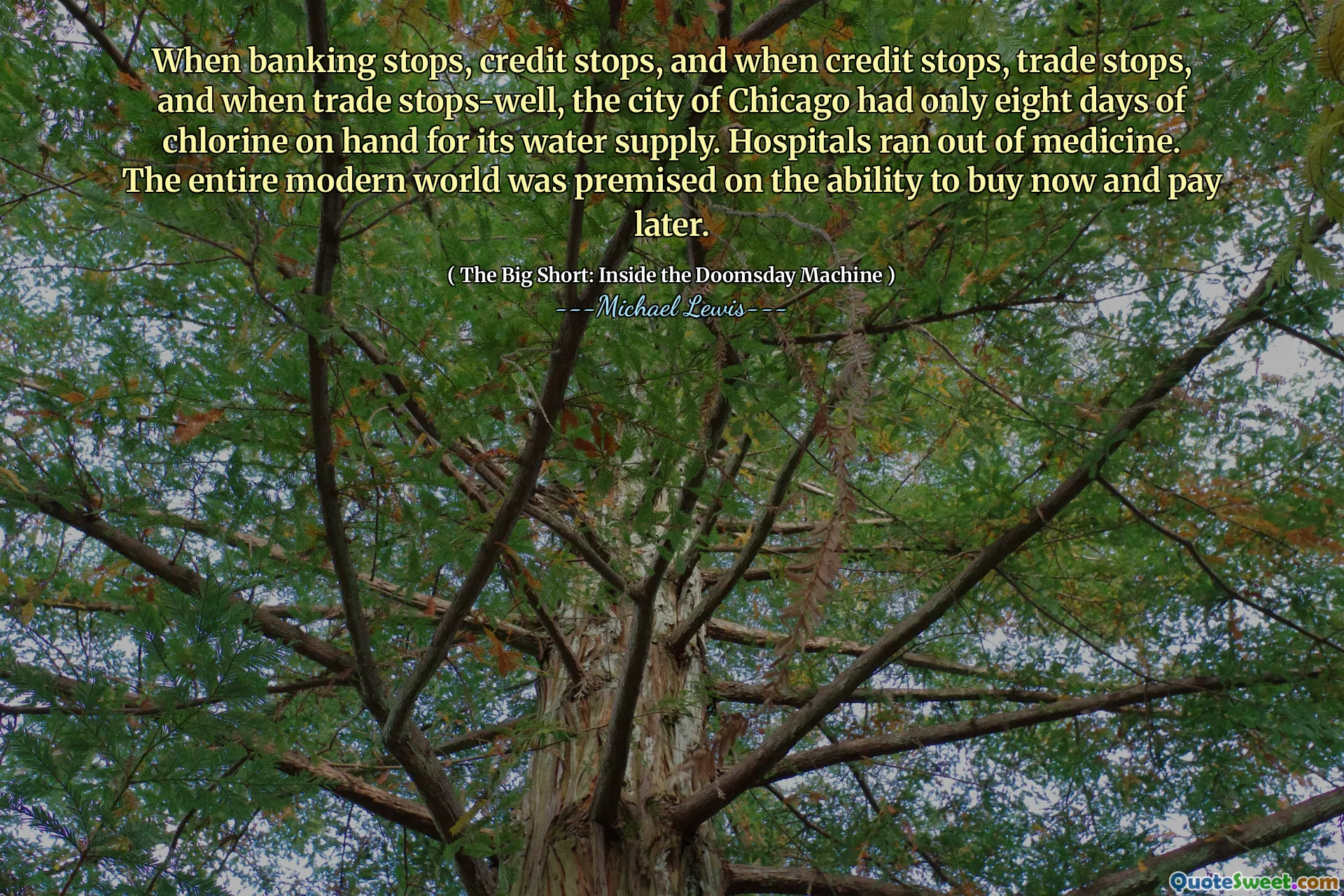 Når banken stopper, stopper kreditten, og når kreditt stopper, stopper handelen, og når handelen stopper-brønnen, hadde byen Chicago bare åtte dager med klor på hånden for vannforsyningen. Sykehus gikk tom for medisin. Hele den moderne verden var forutsatt muligheten til å kjøpe nå og betale senere.