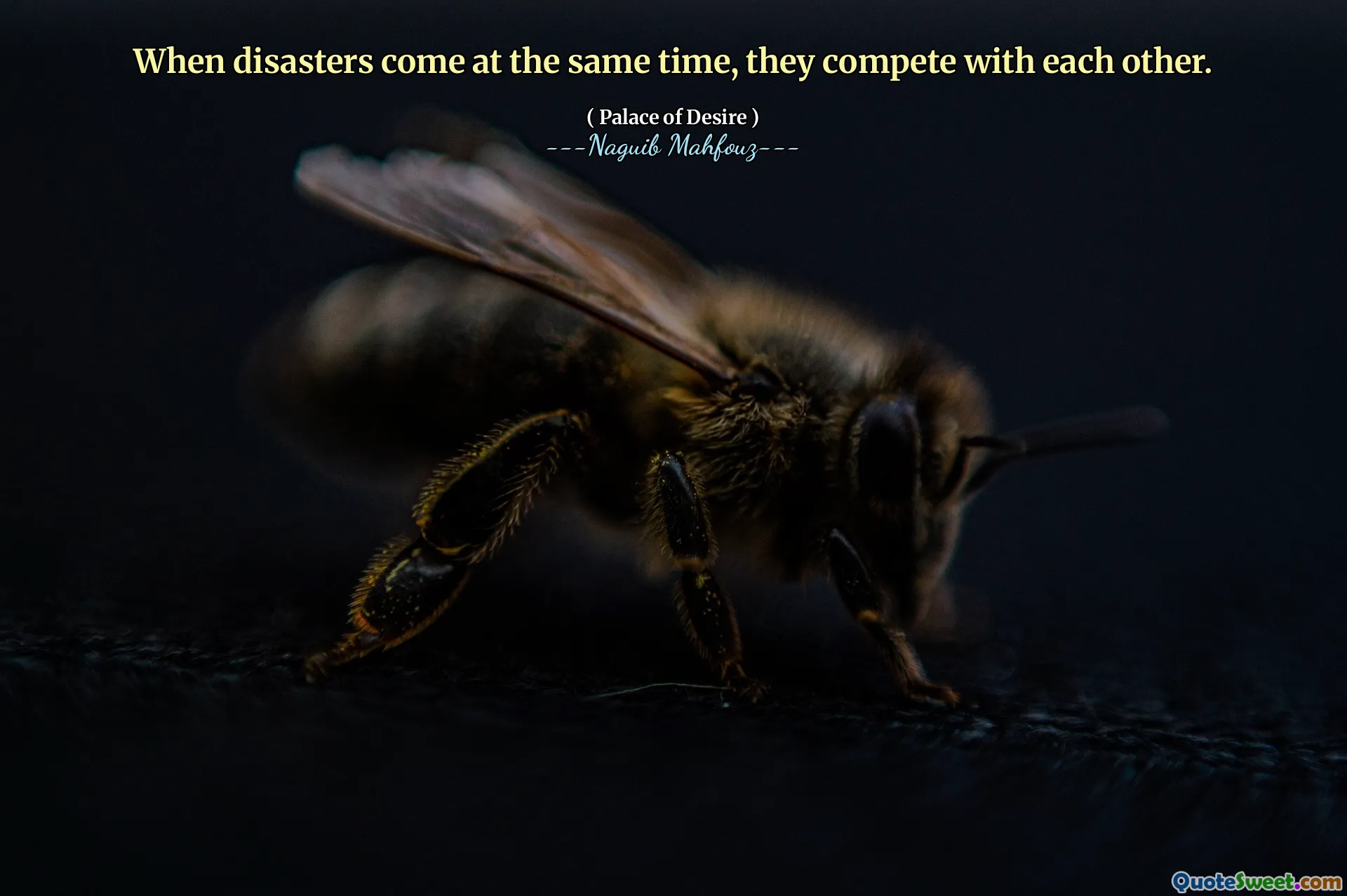 Ketika bencana datang pada saat yang sama, mereka saling bersaing.