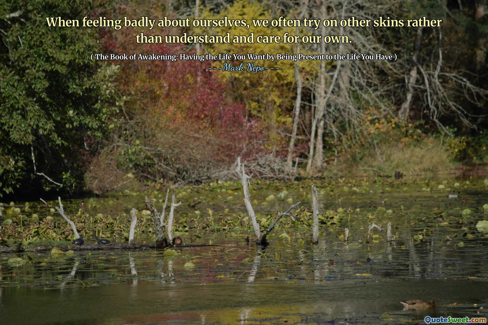 عندما نشعر بالضيق تجاه أنفسنا ، فإننا نحاول غالبًا على جلود أخرى بدلاً من فهمها ونهتمها.