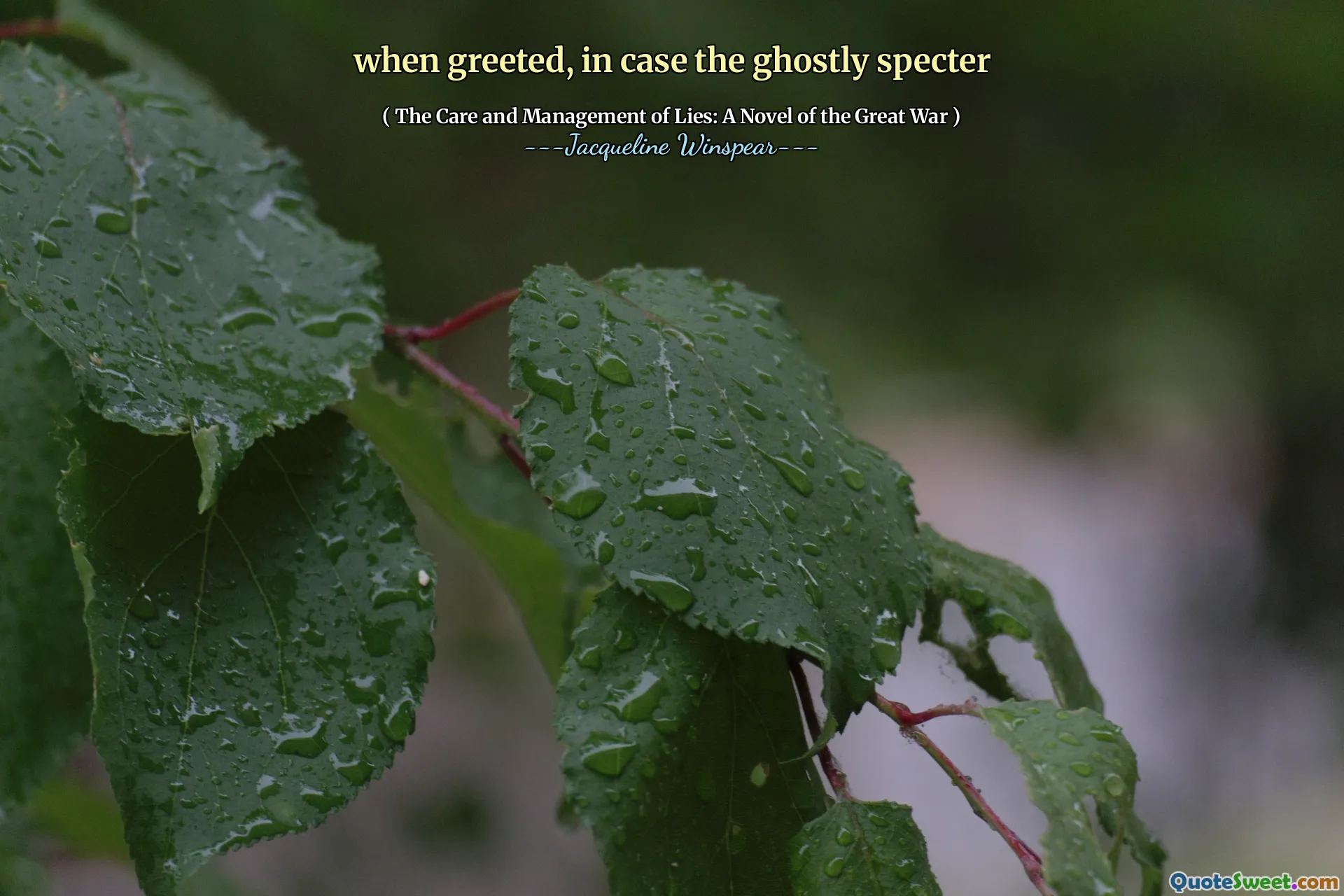 当受到欢迎时，如果幽灵般的幽灵