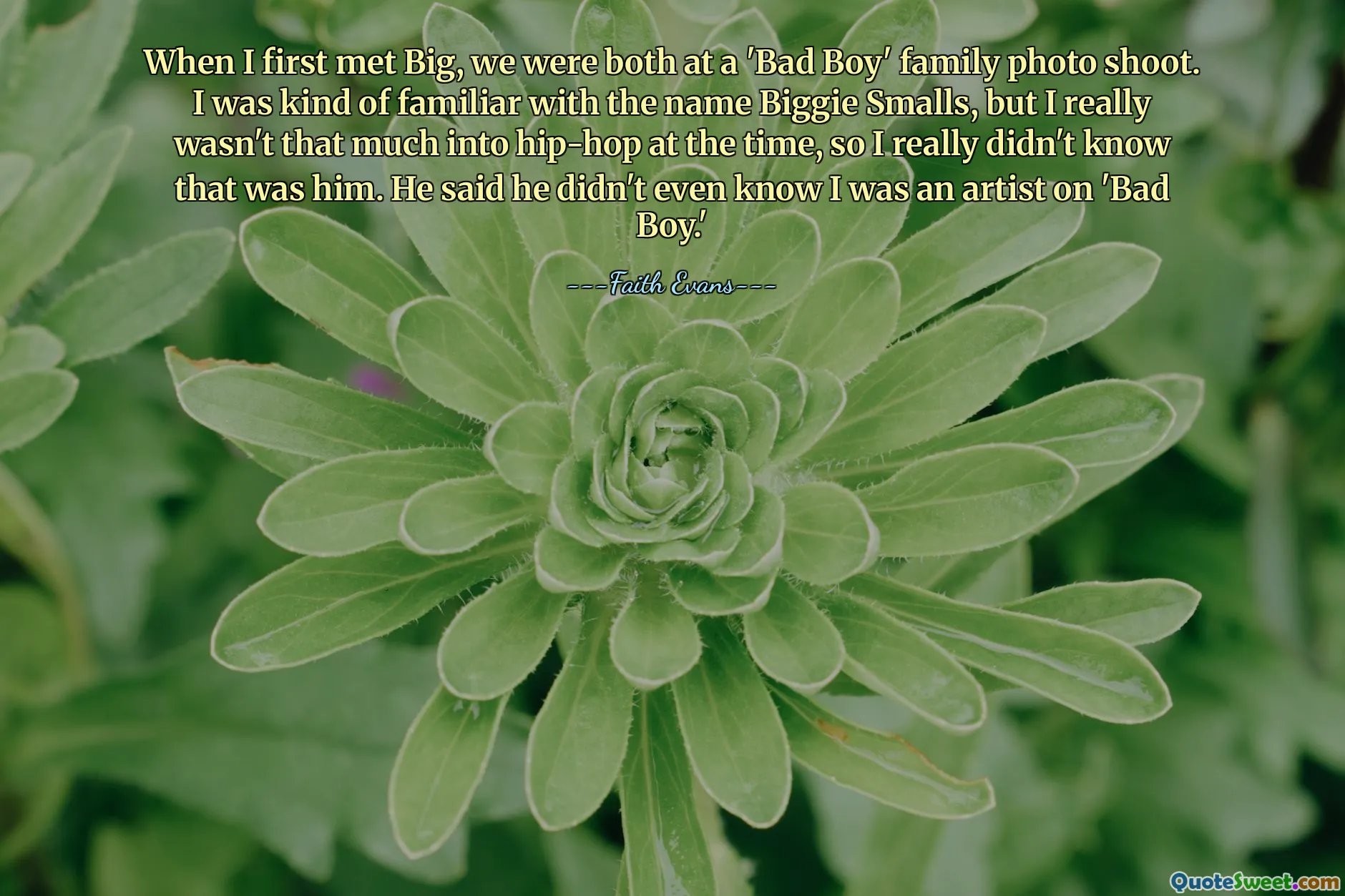 When I first met Big, we were both at a 'Bad Boy' family photo shoot. I was kind of familiar with the name Biggie Smalls, but I really wasn't that much into hip-hop at the time, so I really didn't know that was him. He said he didn't even know I was an artist on 'Bad Boy.'