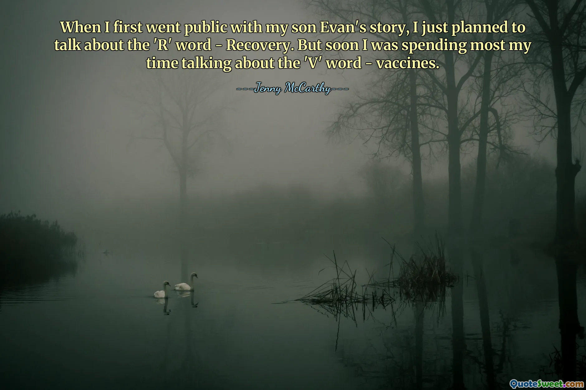 When I first went public with my son Evan's story, I just planned to talk about the 'R' word - Recovery. But soon I was spending most my time talking about the 'V' word - vaccines.