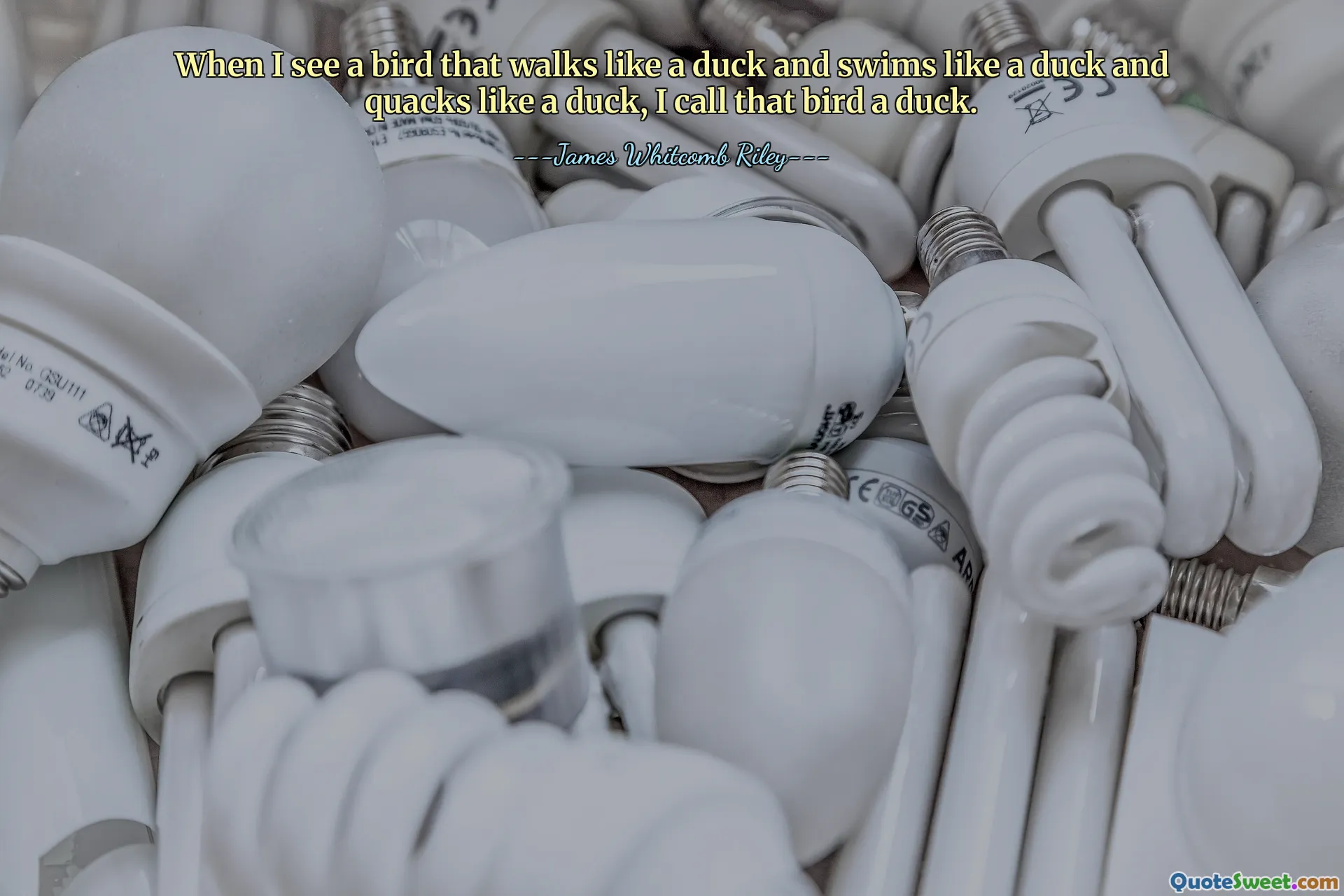 Als ik een vogel zie die loopt als een eend, zwemt als een eend en kwaakt als een eend, noem ik die vogel een eend.