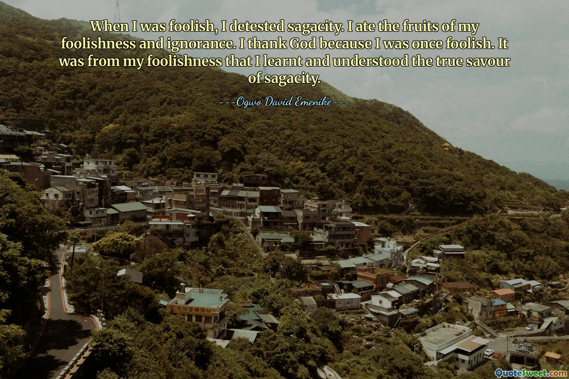 When I was foolish, I detested sagacity. I ate the fruits of my foolishness and ignorance. I thank God because I was once foolish. It was from my foolishness that I learnt and understood the true savour of sagacity.