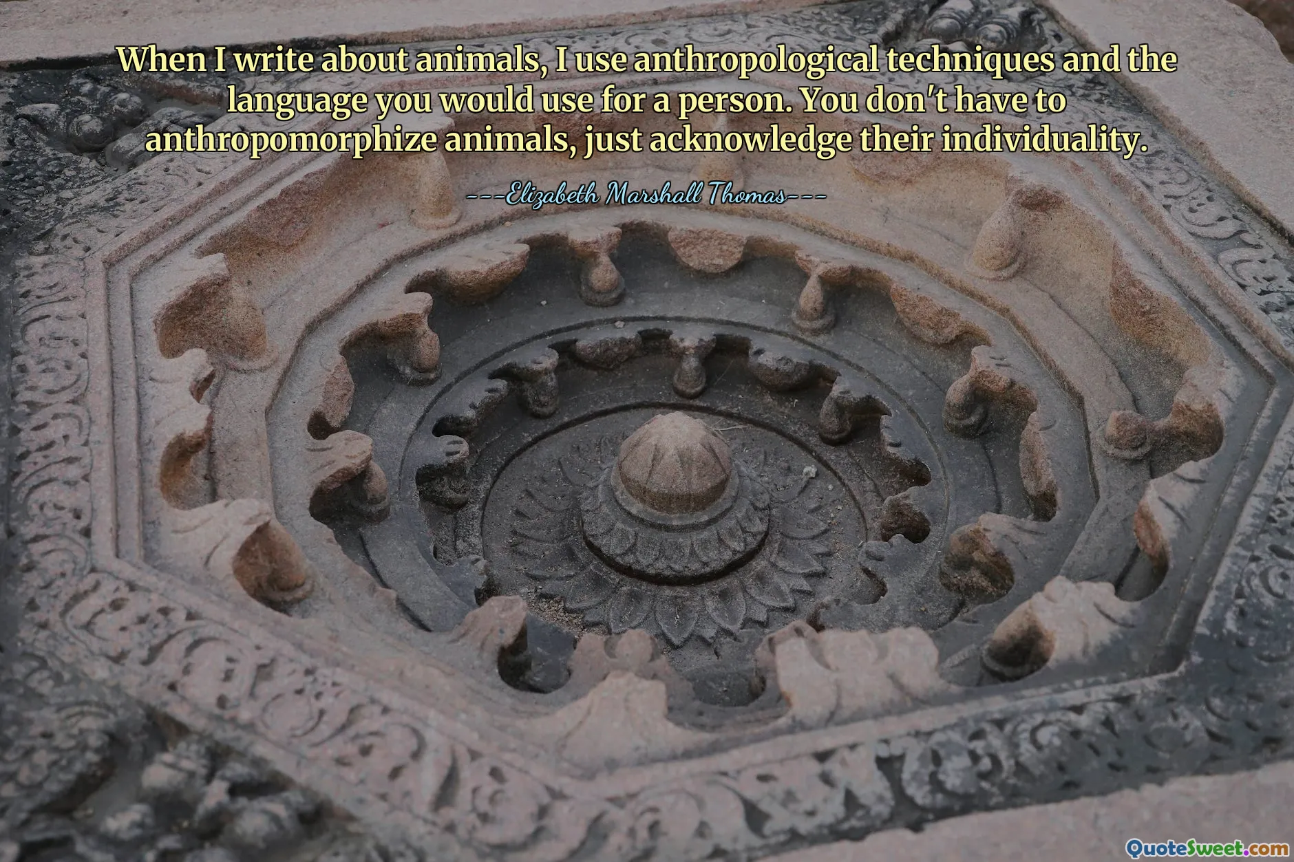 Als ik over dieren schrijf, gebruik ik antropologische technieken en de taal die je voor een persoon zou gebruiken. Je hoeft dieren niet te antropomorfiseren, je hoeft alleen maar hun individualiteit te erkennen.