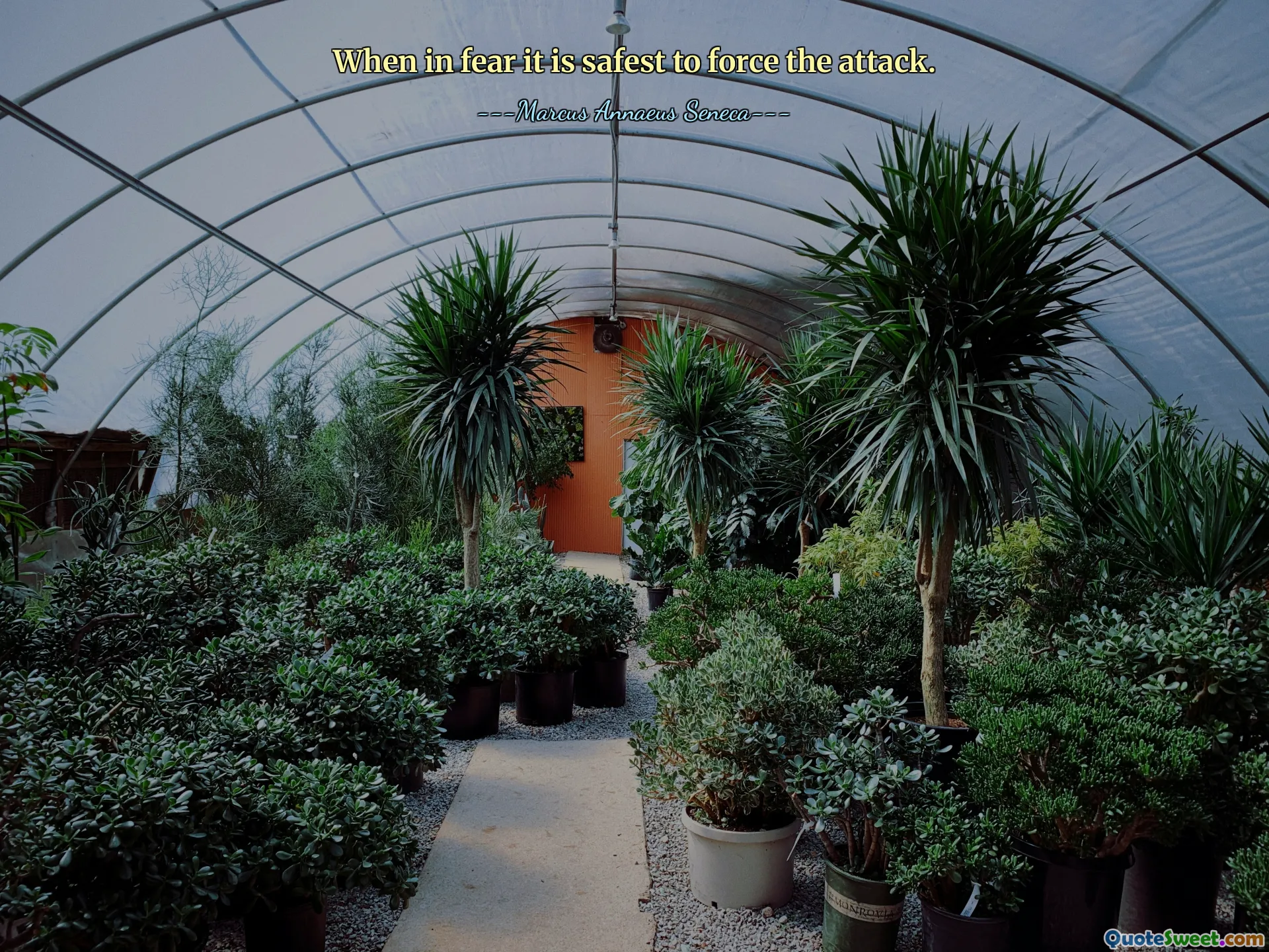 When in fear it is safest to force the attack.