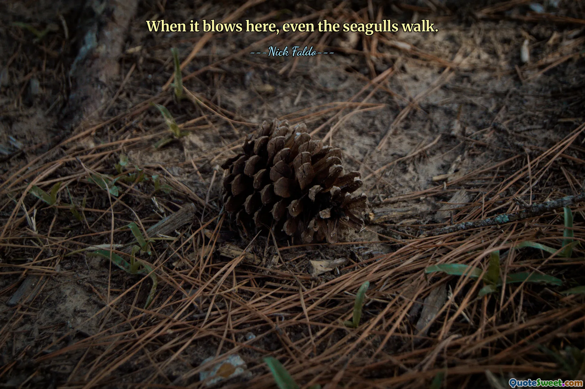 Quando soffia qui camminano anche i gabbiani.