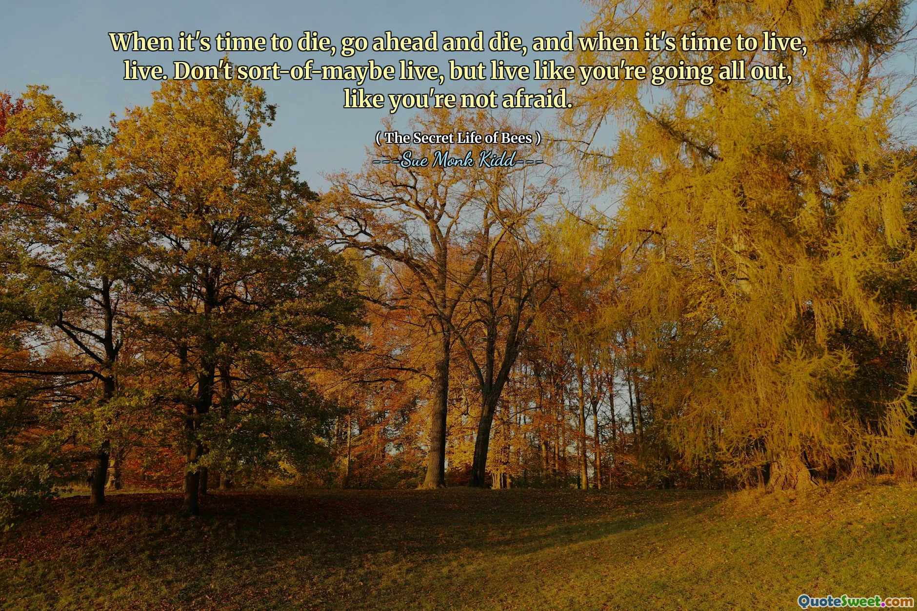 当该死的时候，继续死去，现在是时候生活了。不要像现在一样活着，但是像你不害怕一样活着。