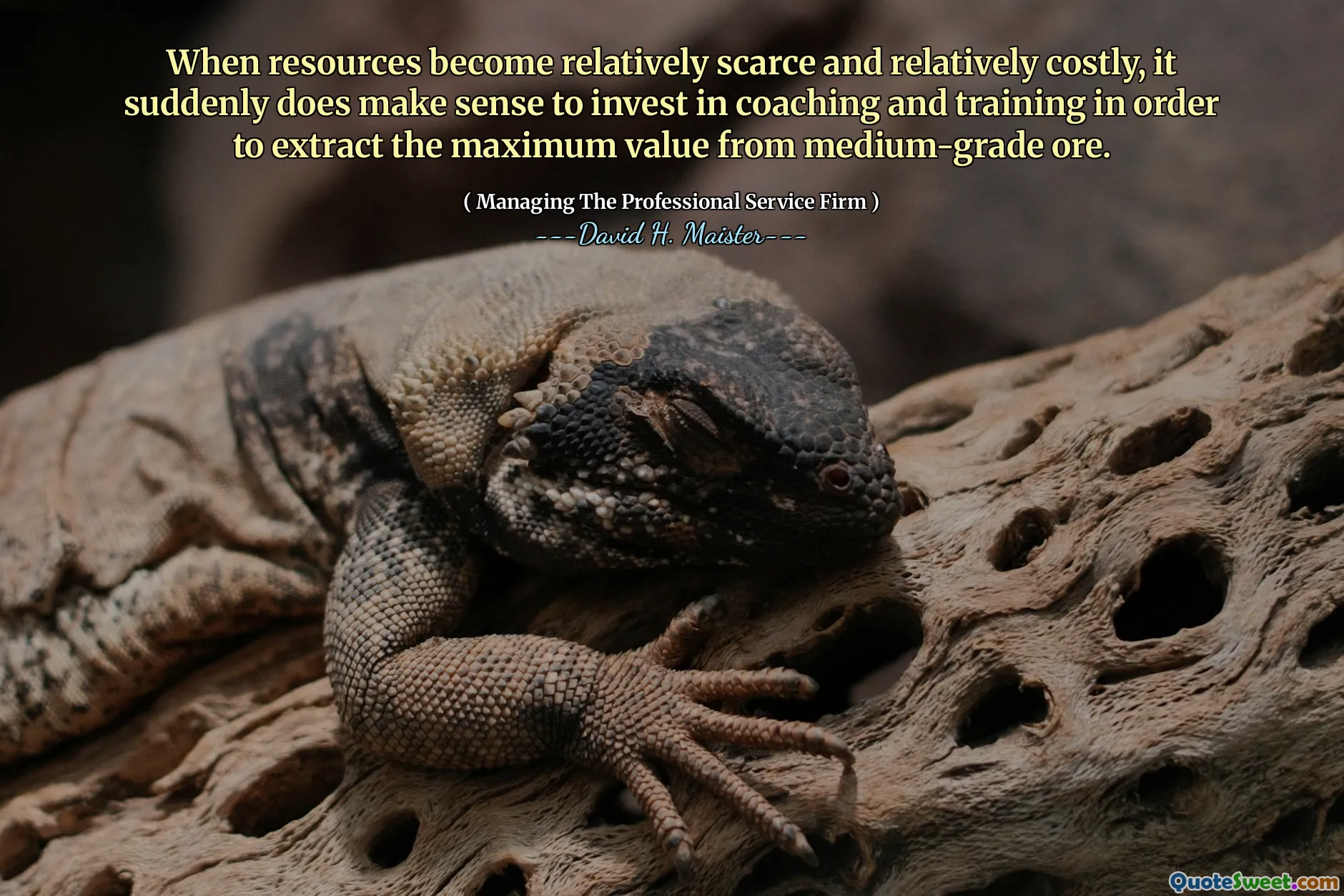 Wanneer middelen relatief schaars en relatief duur worden, is het plotseling logisch om te investeren in coaching en training om de maximale waarde uit middelgrote erts te extraheren.