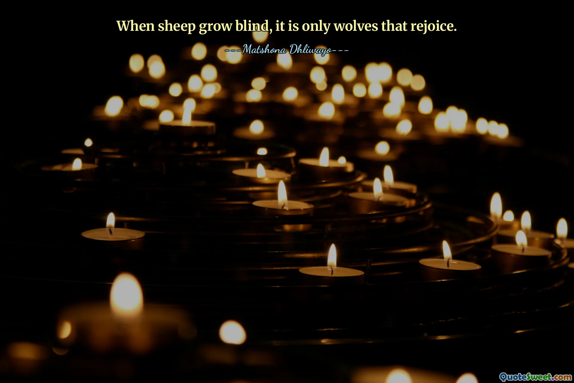 When sheep grow blind, it is only wolves that rejoice.