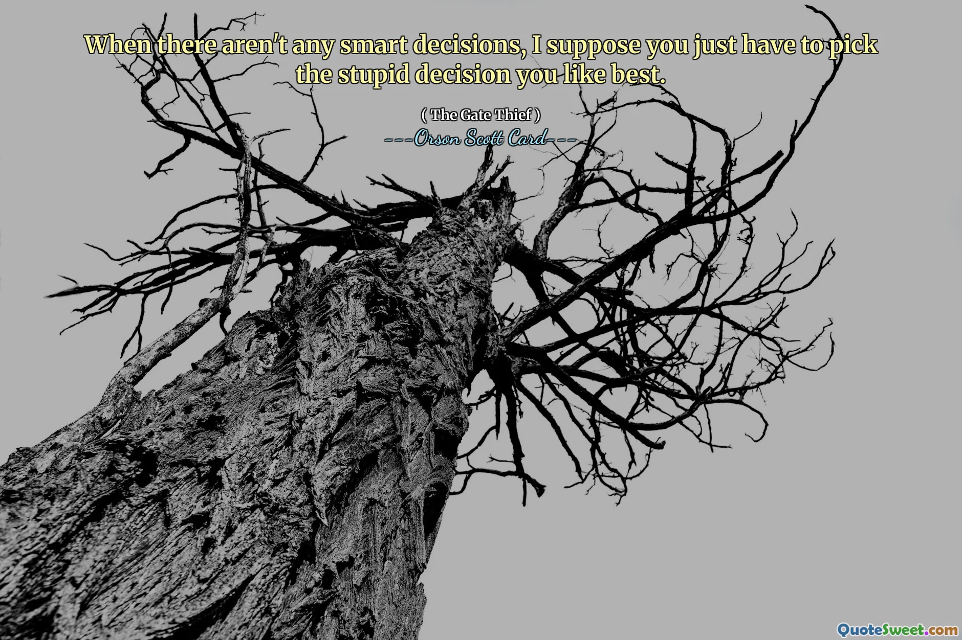 当没有任何明智的决定时，我想你只能选择你最喜欢的愚蠢决定。
