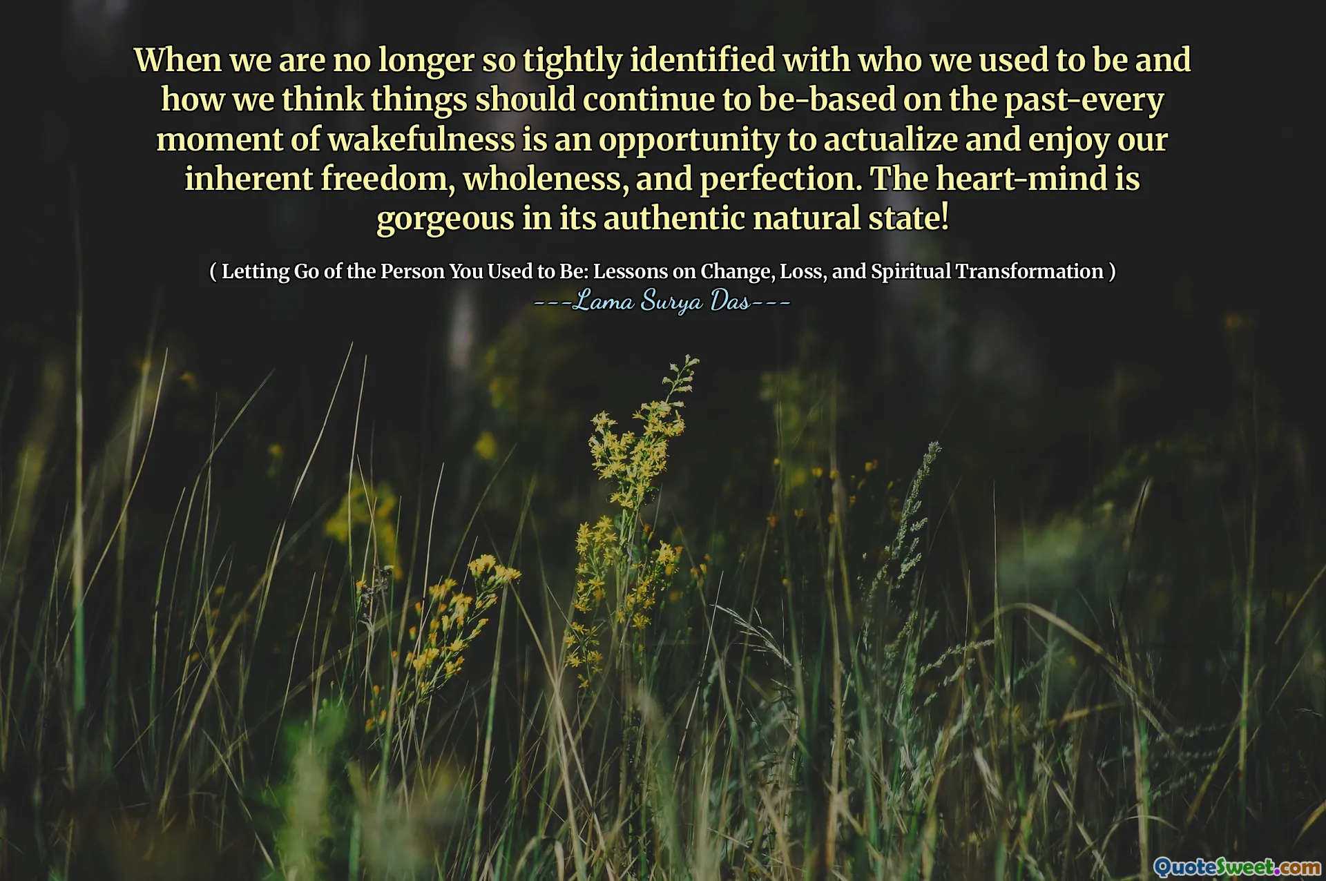 Lorsque nous ne sommes plus aussi étroitement identifiés avec qui nous étions et comment nous pensons que les choses devraient continuer à être basées sur le moment passé - chaque moment de l'éveil est une occasion d'actualiser et de profiter de notre liberté, de notre intégrité et de notre perfection inhérentes. Le cœur est magnifique dans son état naturel authentique!