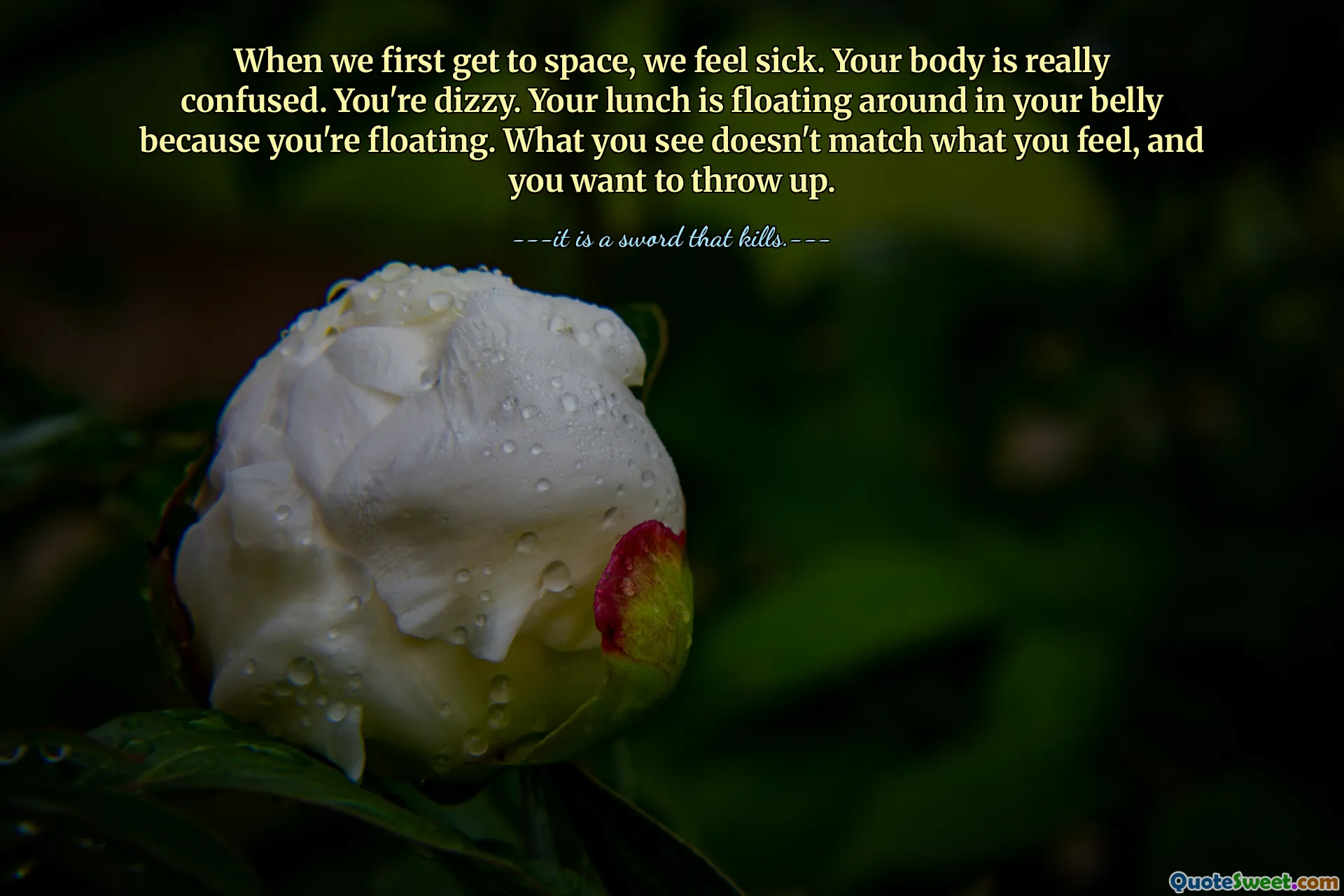 When we first get to space, we feel sick. Your body is really confused. You're dizzy. Your lunch is floating around in your belly because you're floating. What you see doesn't match what you feel, and you want to throw up.