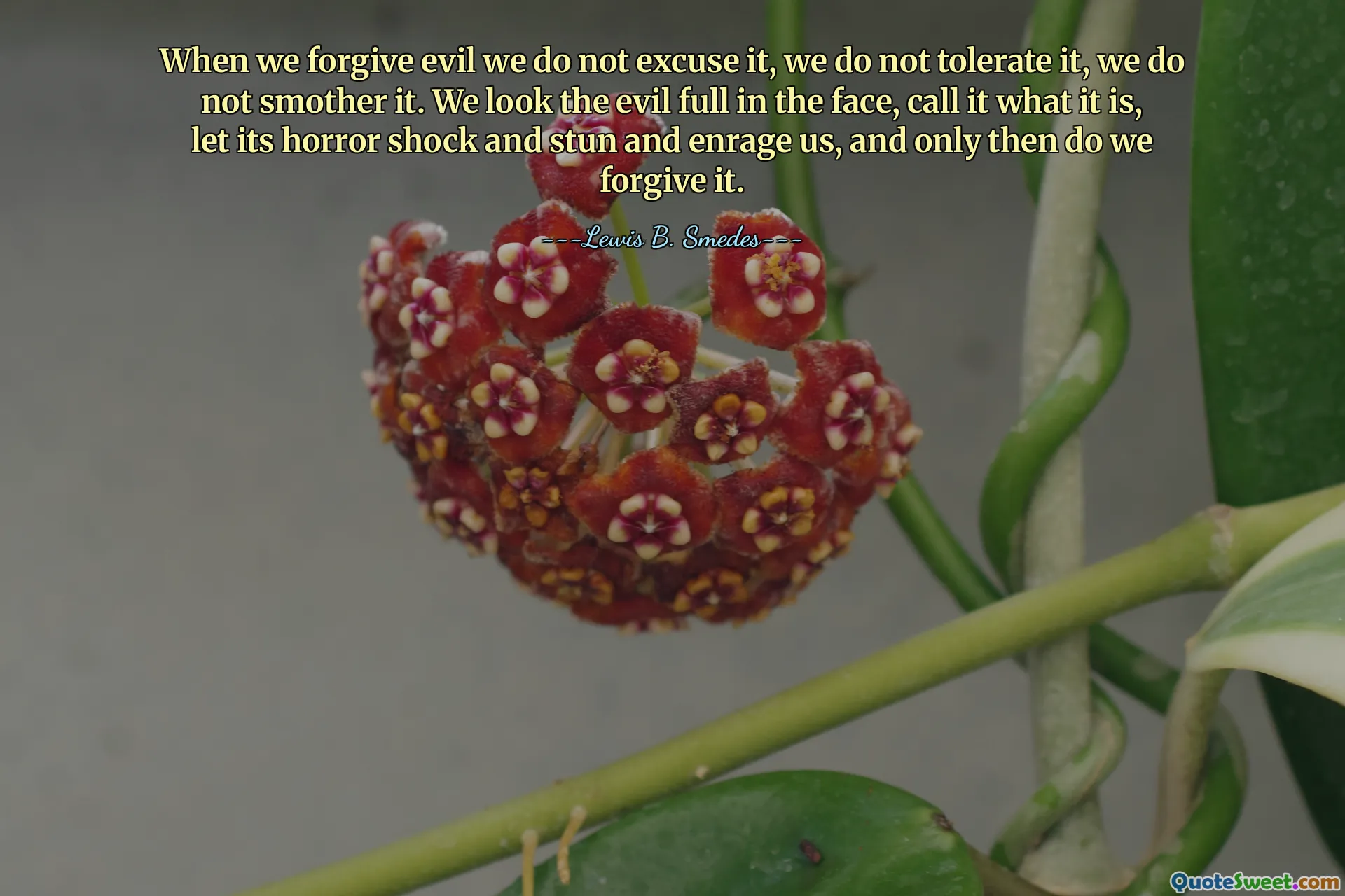 When we forgive evil we do not excuse it, we do not tolerate it, we do not smother it. We look the evil full in the face, call it what it is, let its horror shock and stun and enrage us, and only then do we forgive it.