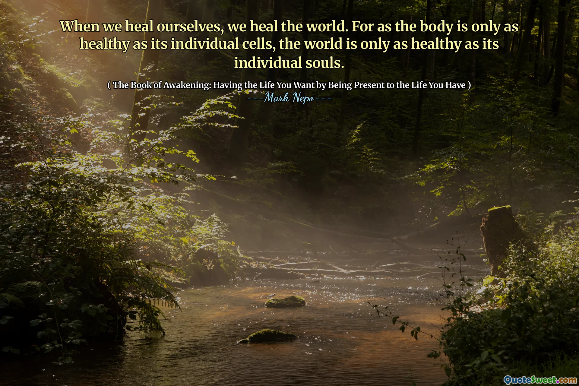 When we heal ourselves, we heal the world. For as the body is only as healthy as its individual cells, the world is only as healthy as its individual souls.