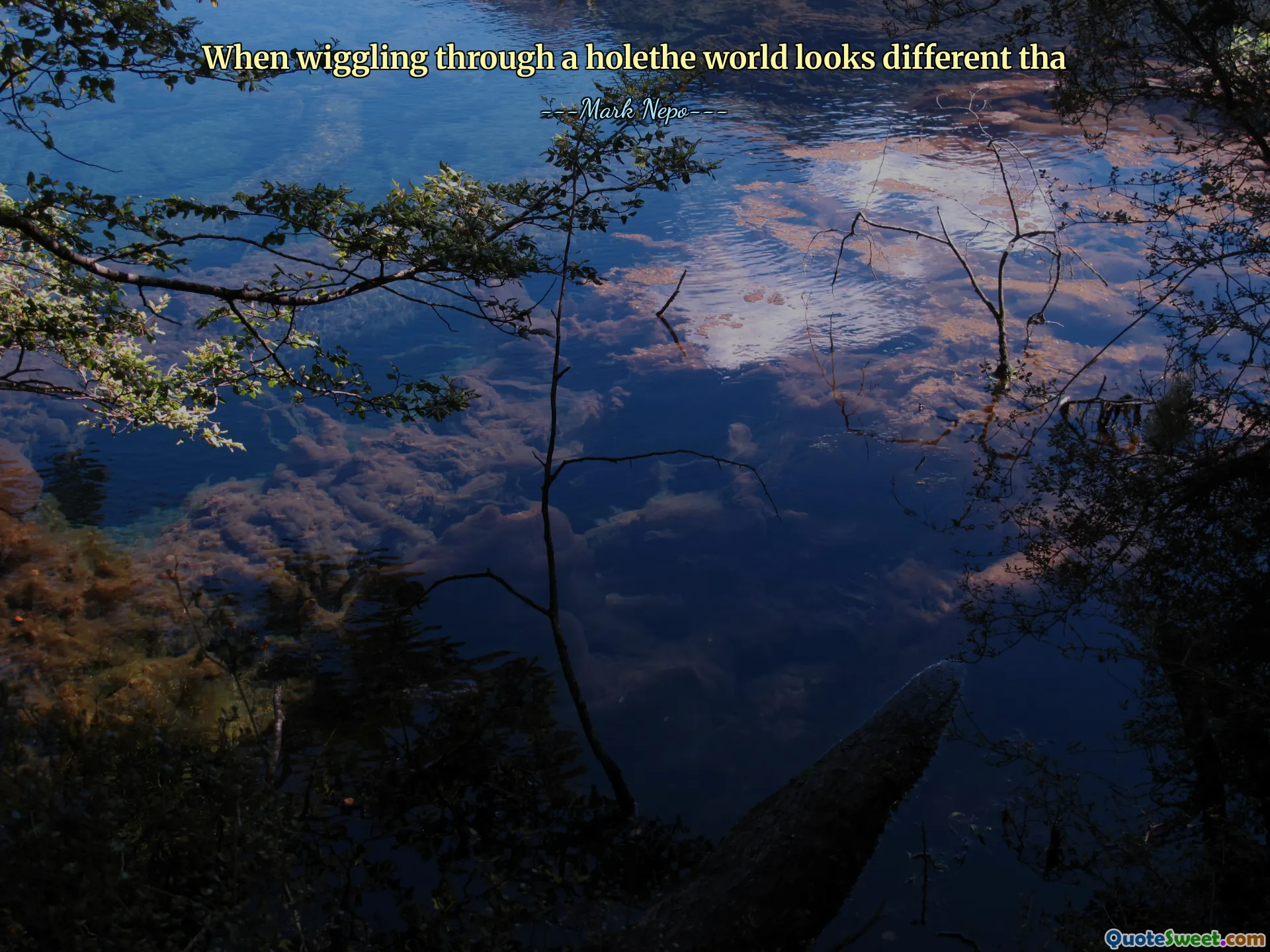 عندما يبدو أن التذبذب عبر عالم holethe يبدو مختلفًا