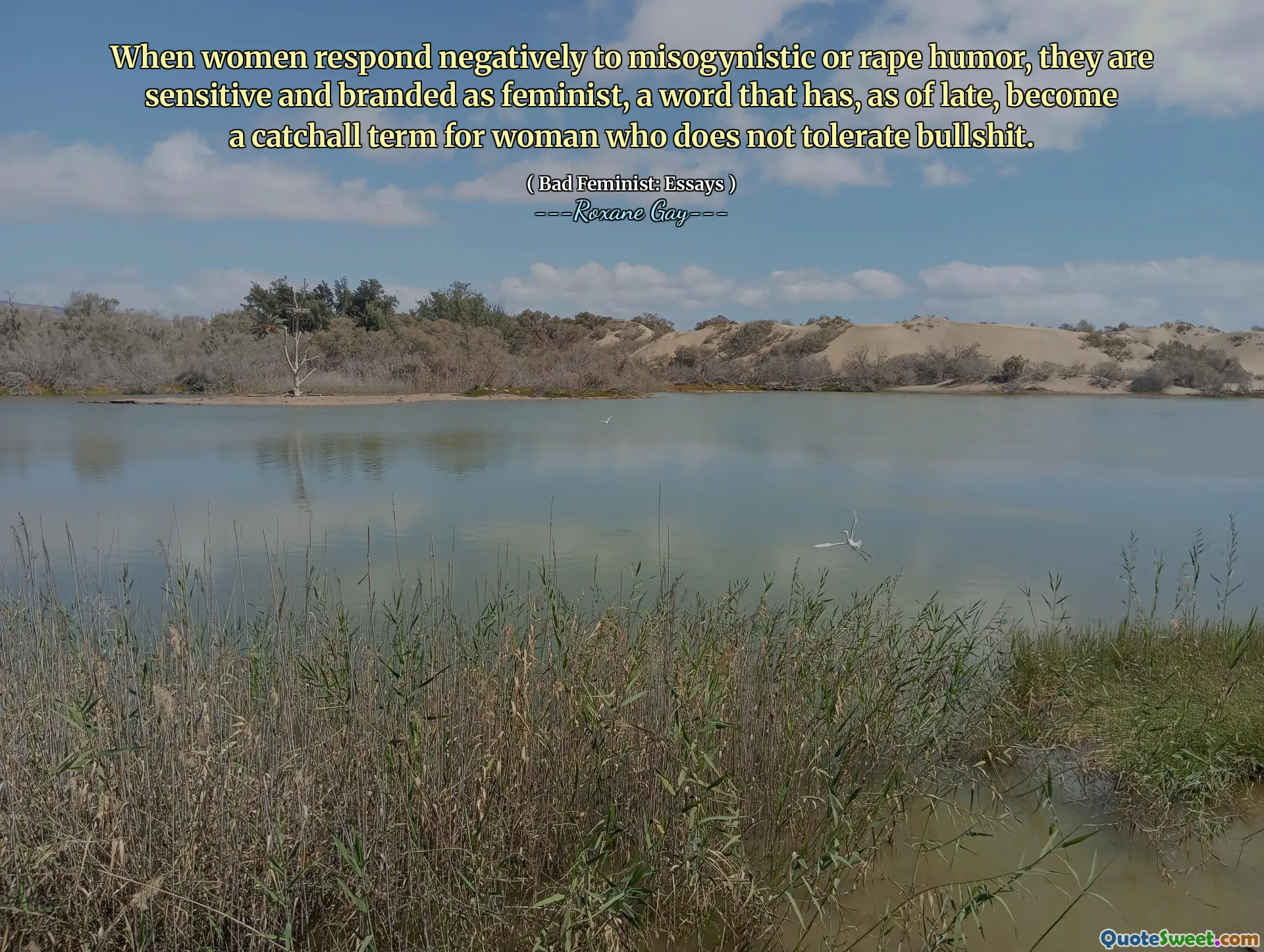 When women respond negatively to misogynistic or rape humor, they are sensitive and branded as feminist, a word that has, as of late, become a catchall term for woman who does not tolerate bullshit.