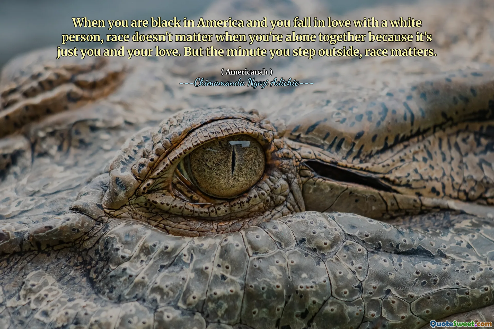 When you are black in America and you fall in love with a white person, race doesn't matter when you're alone together because it's just you and your love. But the minute you step outside, race matters.