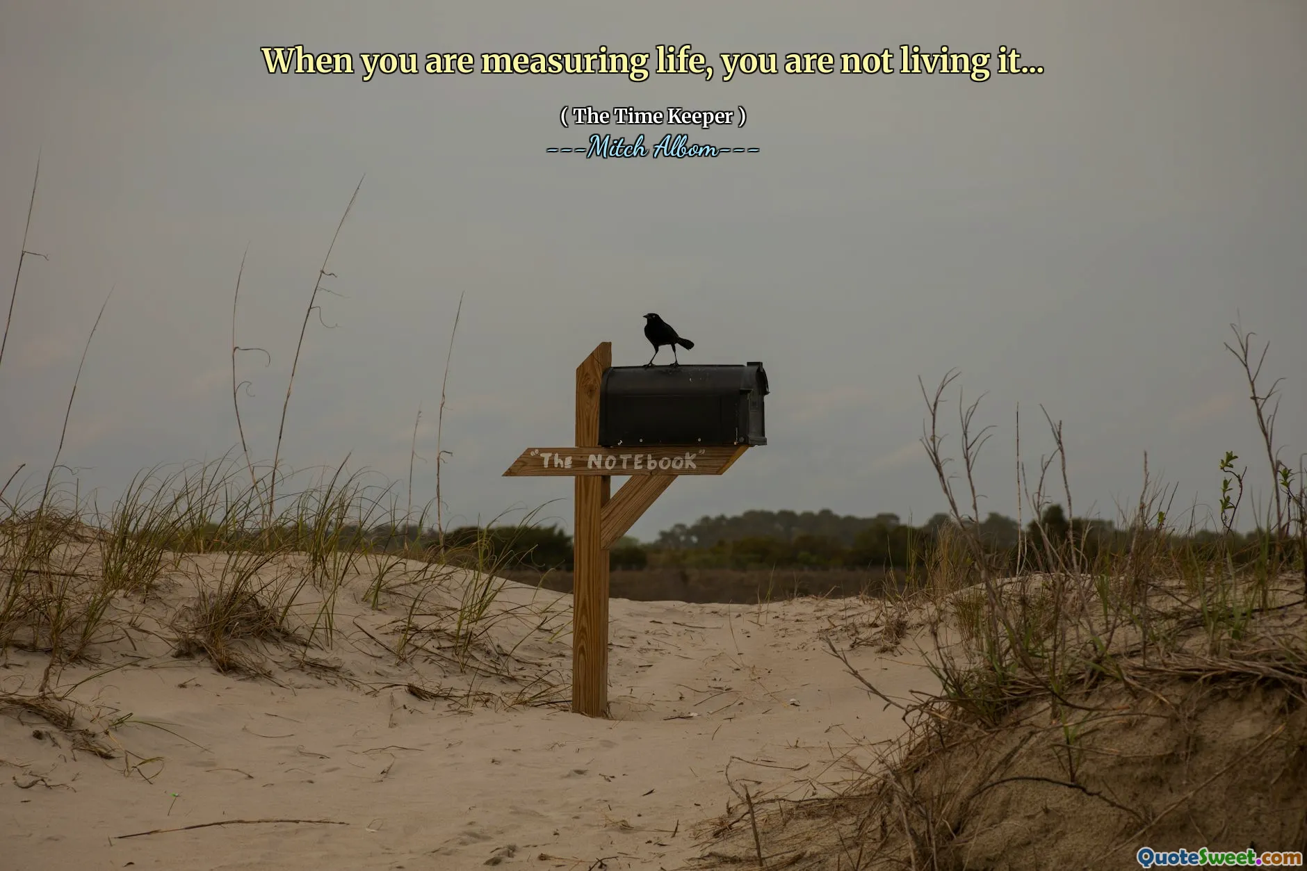 When you are measuring life, you are not living it...