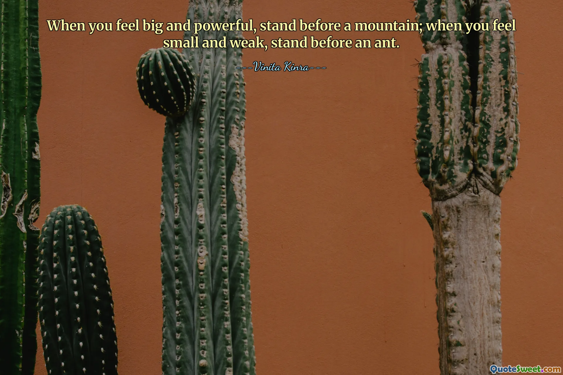 When you feel big and powerful, stand before a mountain; when you feel small and weak, stand before an ant.