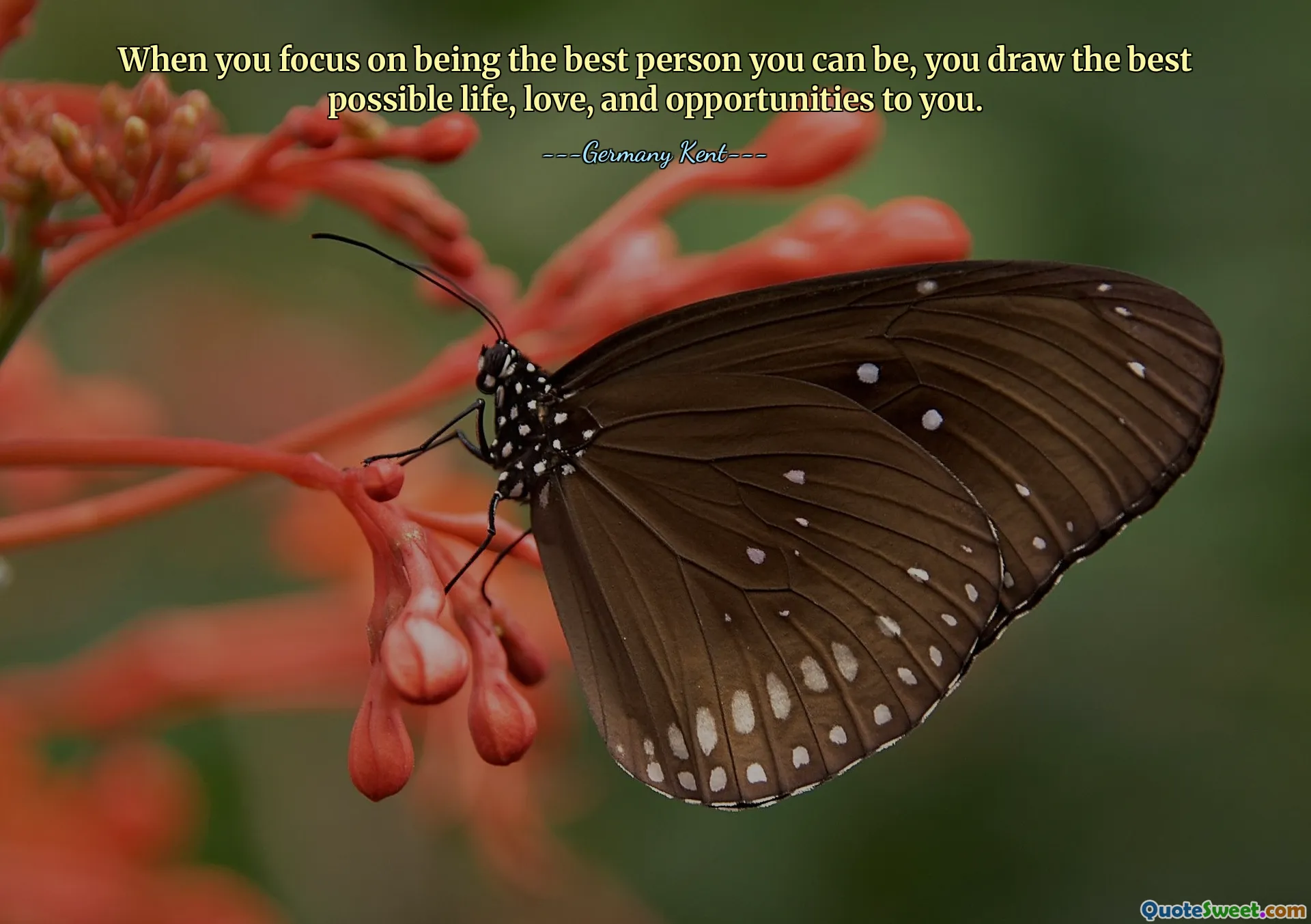 When you focus on being the best person you can be, you draw the best possible life, love, and opportunities to you.