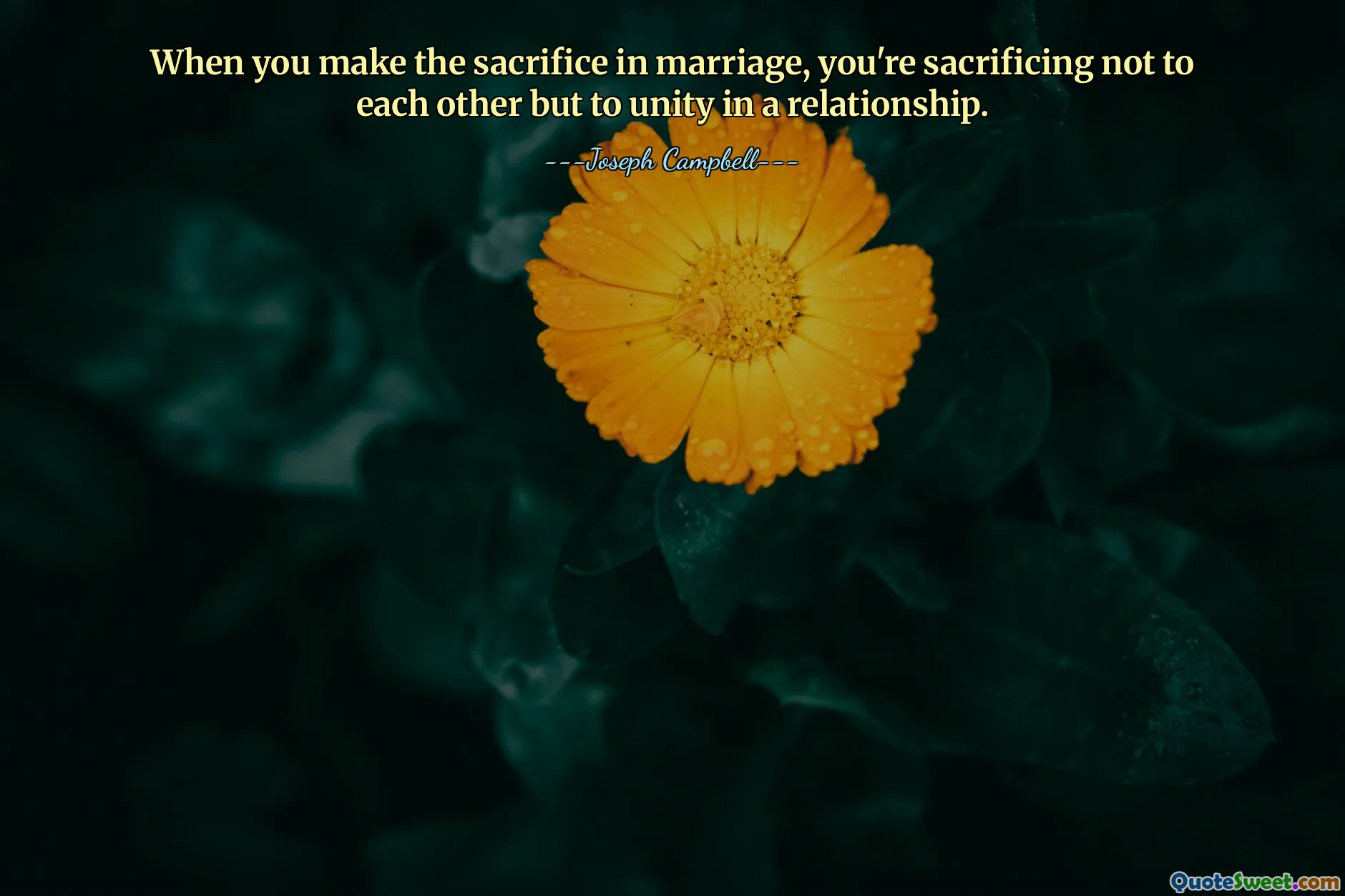 결혼 생활에서 희생하는 것은 서로를 위한 희생이 아니라 관계의 단결을 위한 희생입니다.