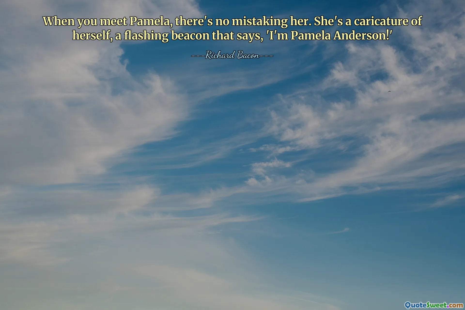 When you meet Pamela, there's no mistaking her. She's a caricature of herself, a flashing beacon that says, 'I'm Pamela Anderson!'