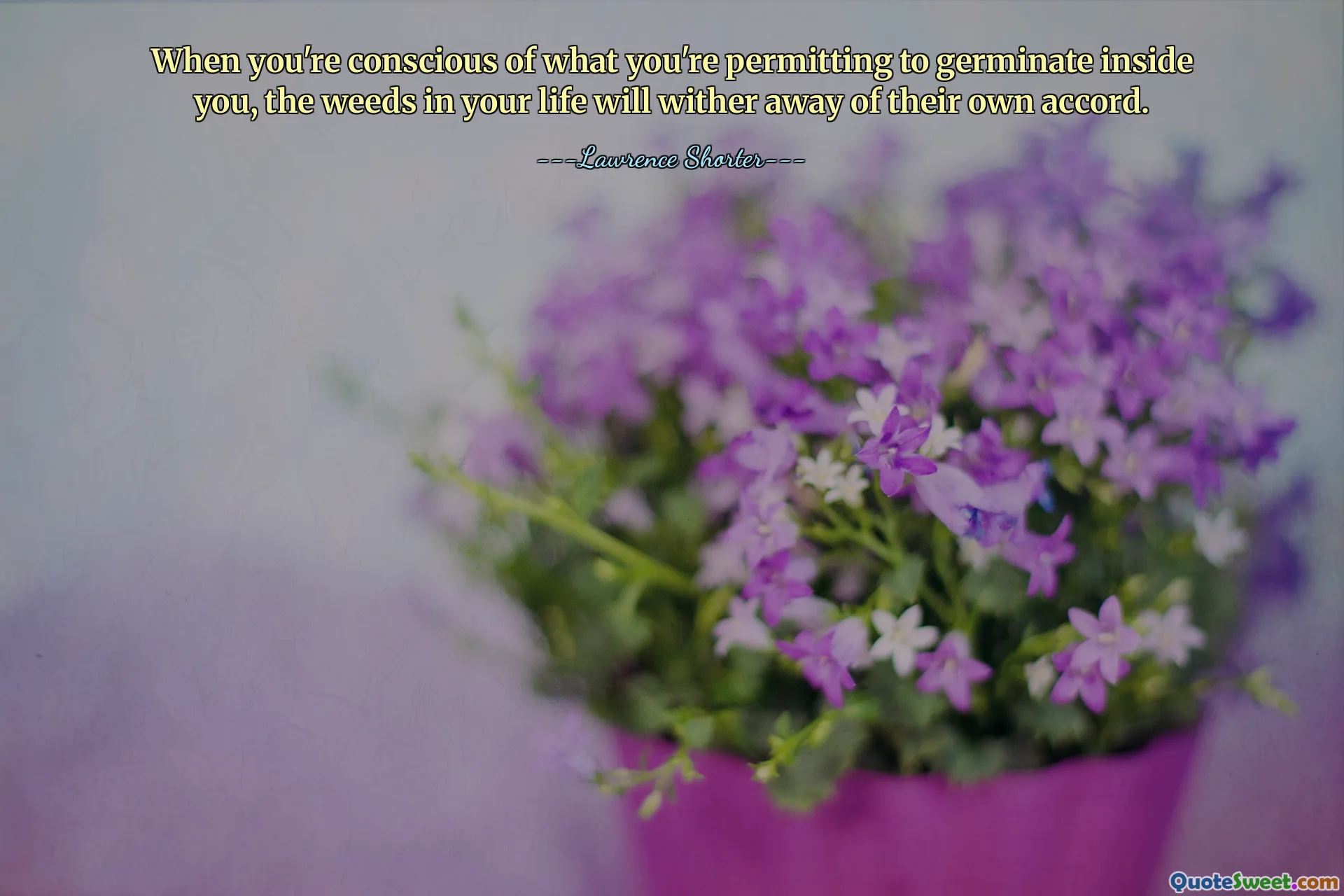 When you're conscious of what you're permitting to germinate inside you, the weeds in your life will wither away of their own accord.