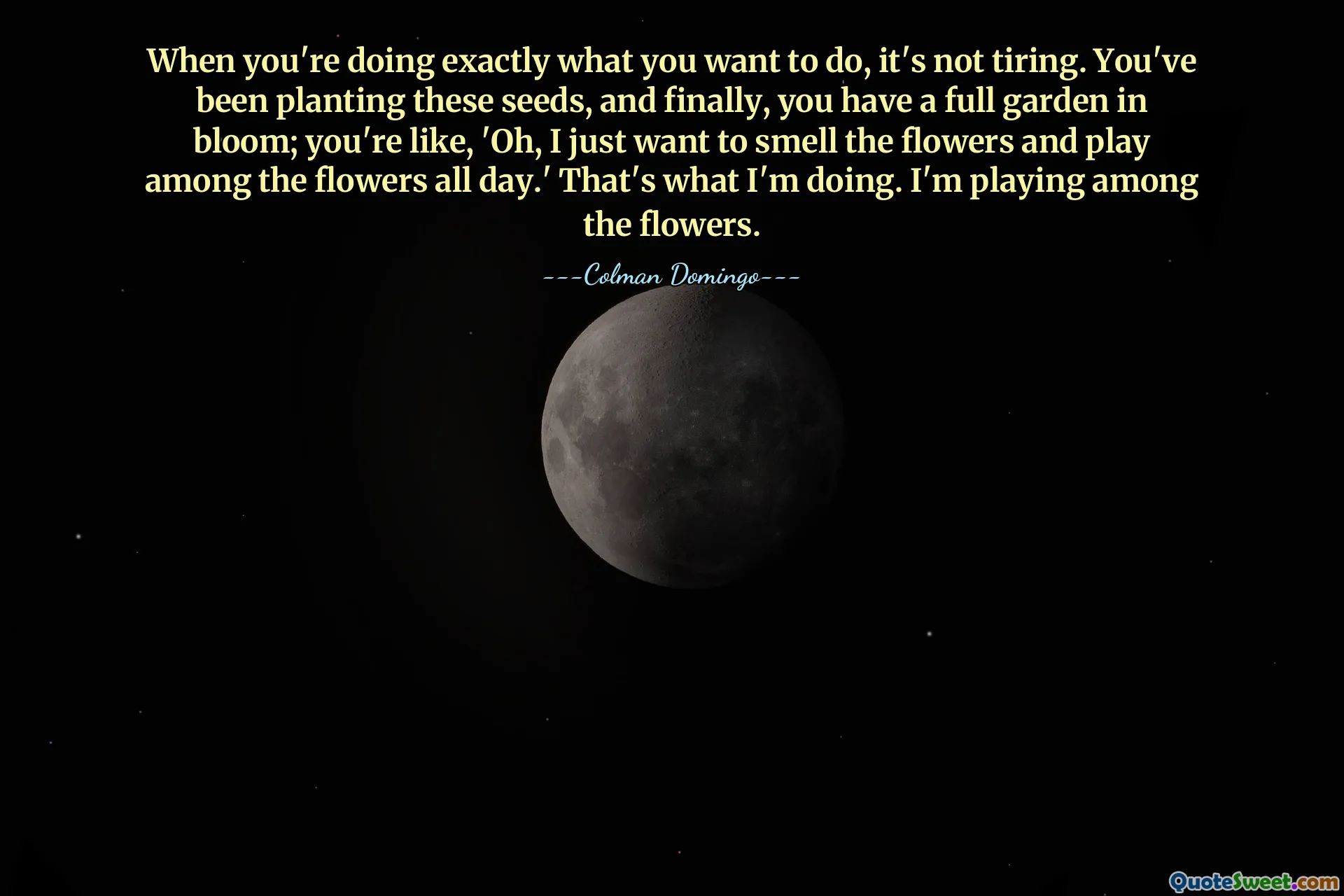 When you're doing exactly what you want to do, it's not tiring. You've been planting these seeds, and finally, you have a full garden in bloom; you're like, 'Oh, I just want to smell the flowers and play among the flowers all day.' That's what I'm doing. I'm playing among the flowers.