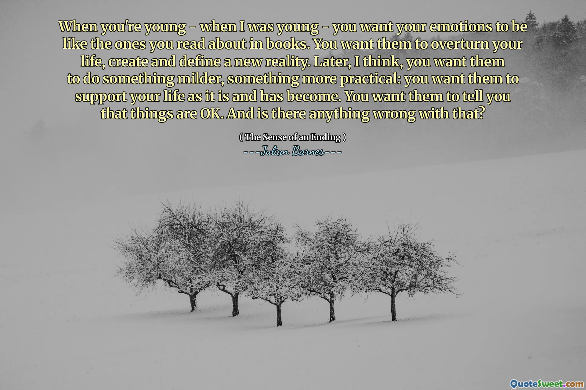 When you're young - when I was young - you want your emotions to be like the ones you read about in books. You want them to overturn your life, create and define a new reality. Later, I think, you want them to do something milder, something more practical: you want them to support your life as it is and has become. You want them to tell you that things are OK. And is there anything wrong with that?